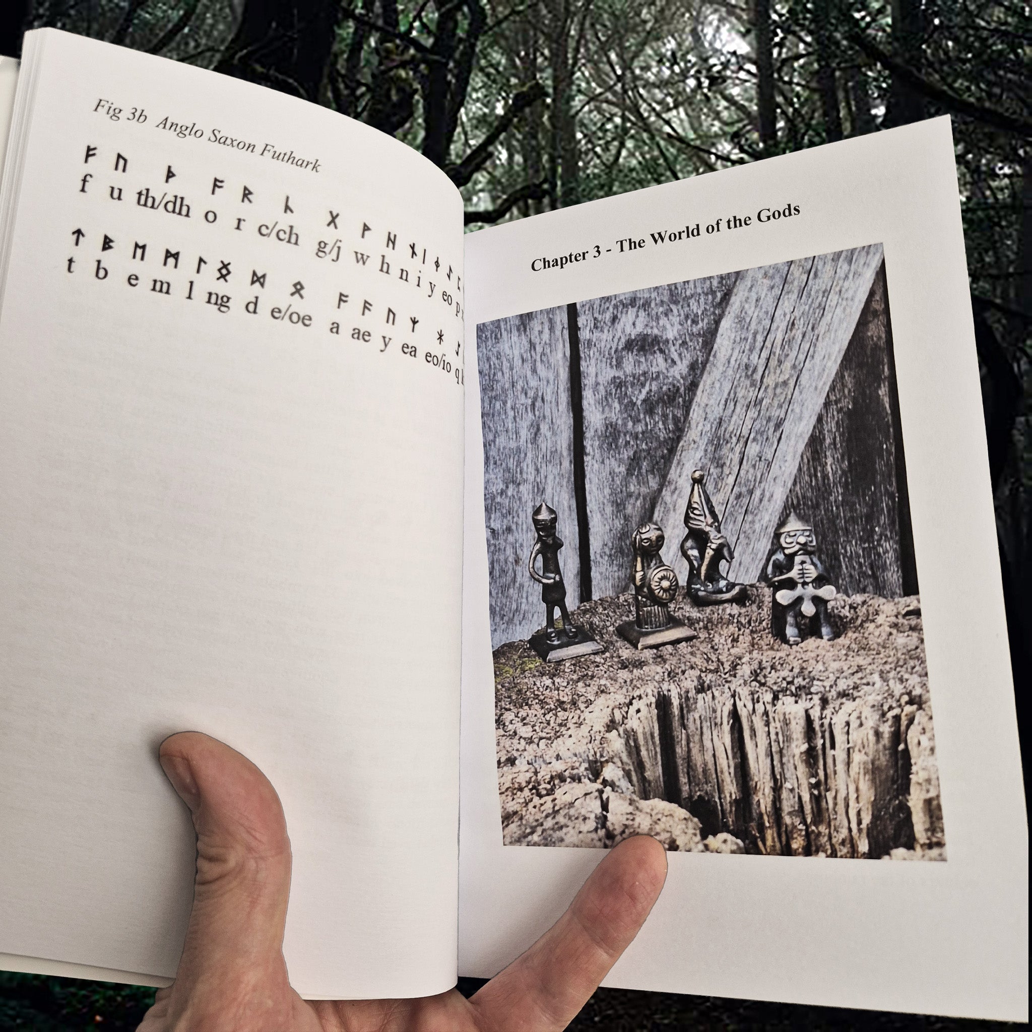 Galdrbok Book - Magical Norse Practices of Galdr & Seidr - Paul Sykes - Inside the Book - The World of the Gods