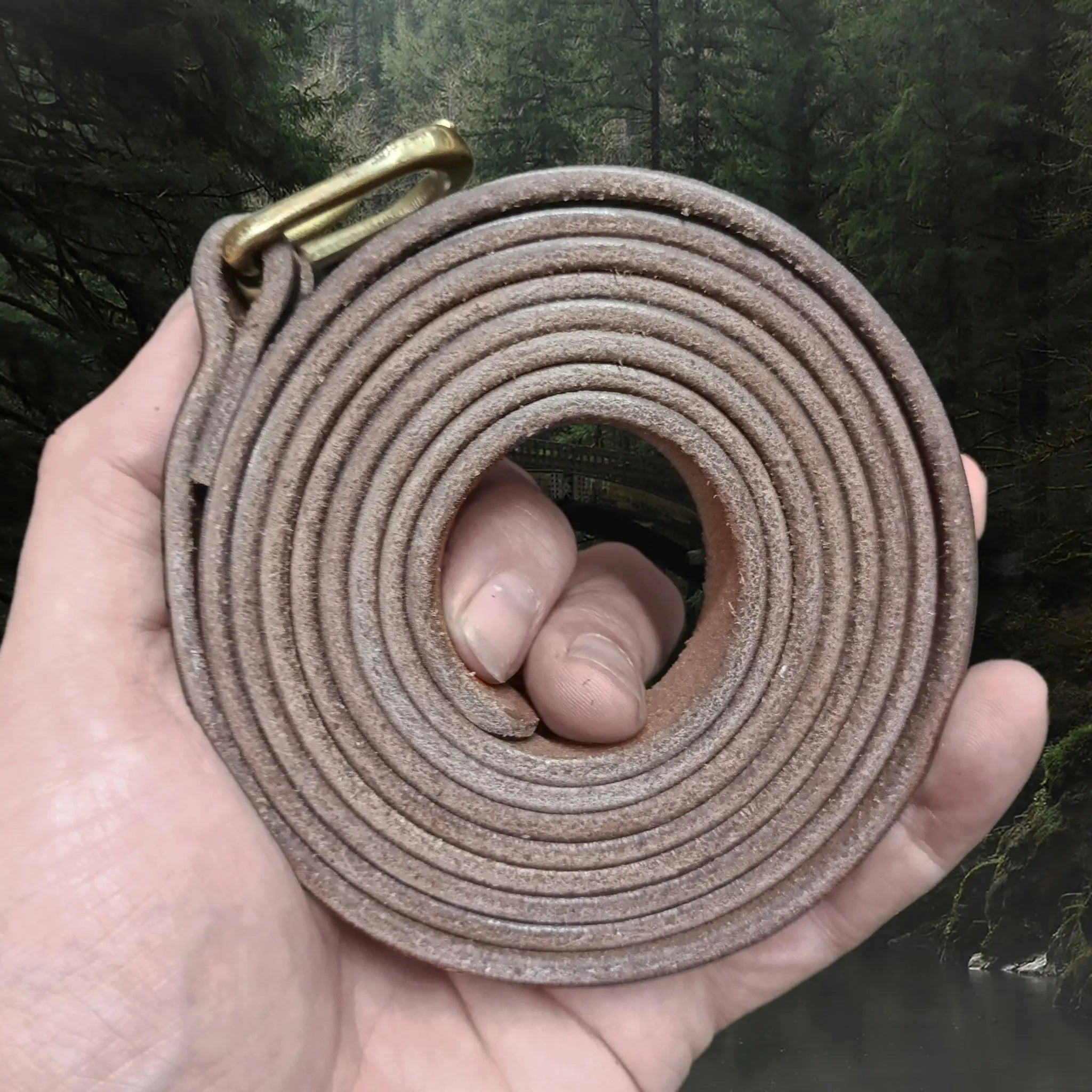 Long Leather Brown Baldric with Brass Buckle in Hand - Coiled Up Side View