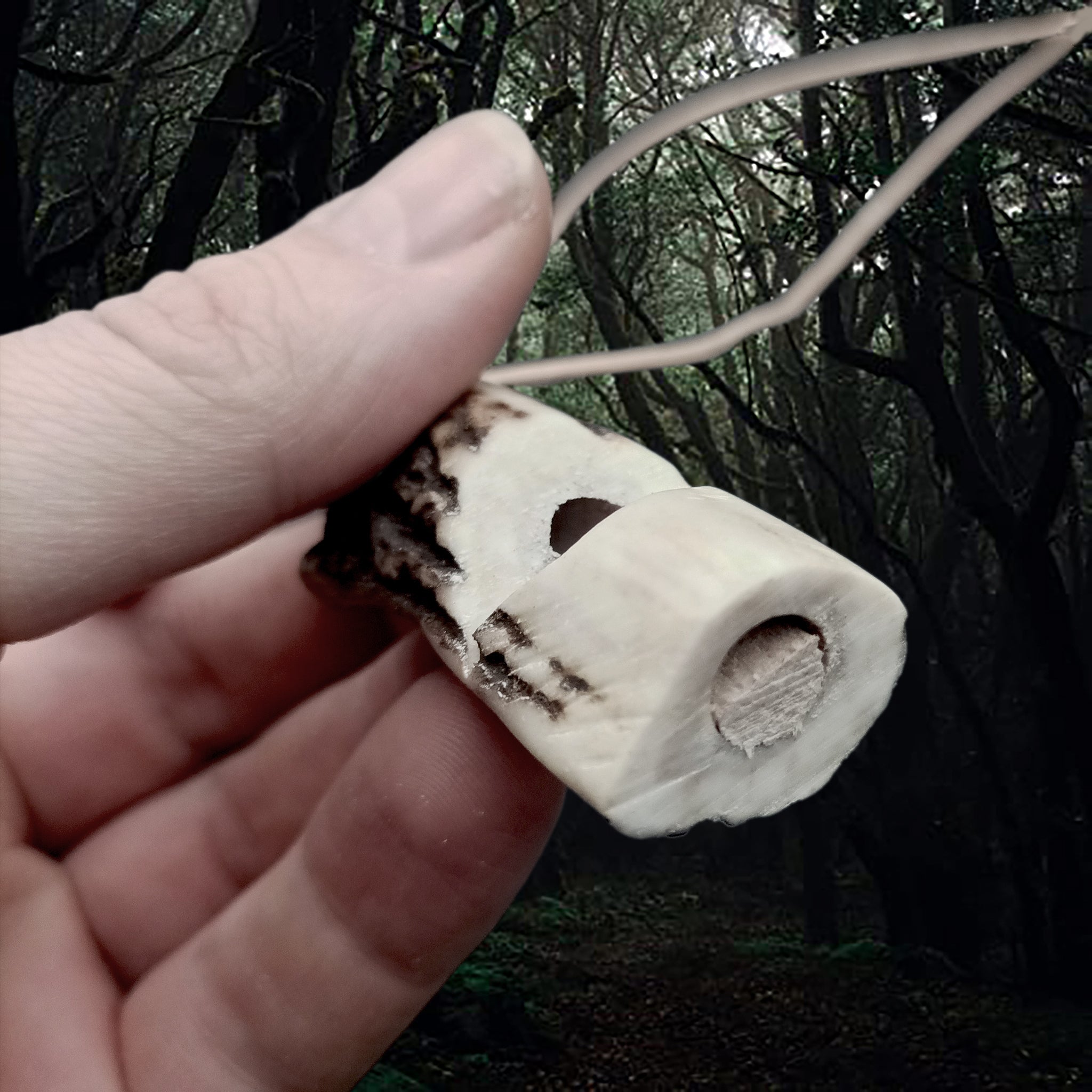 Handmade Scottish Red Deer Antler Whistle on a Leather Thong in Hand - Close Up Reed View