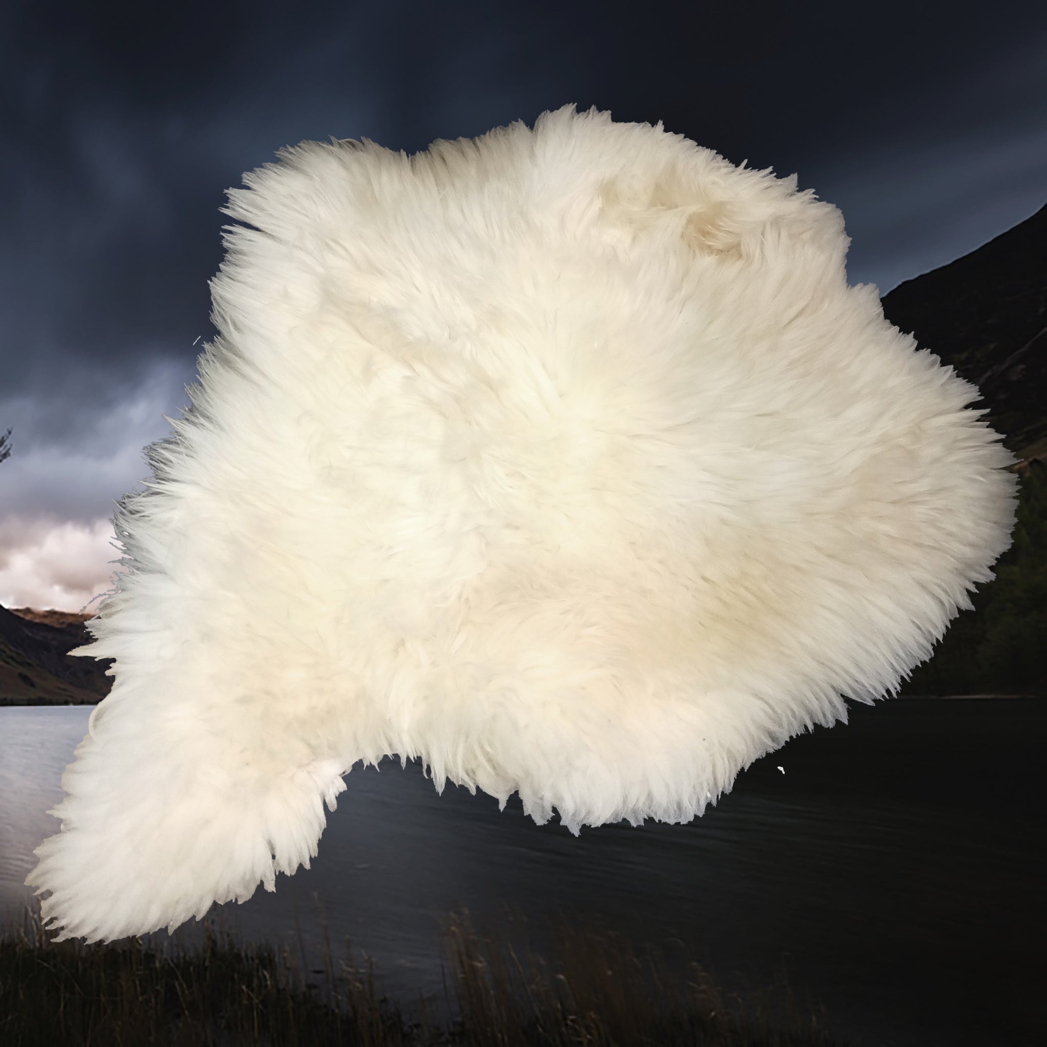 Full Sheep fleece from England, UK - Different Shape