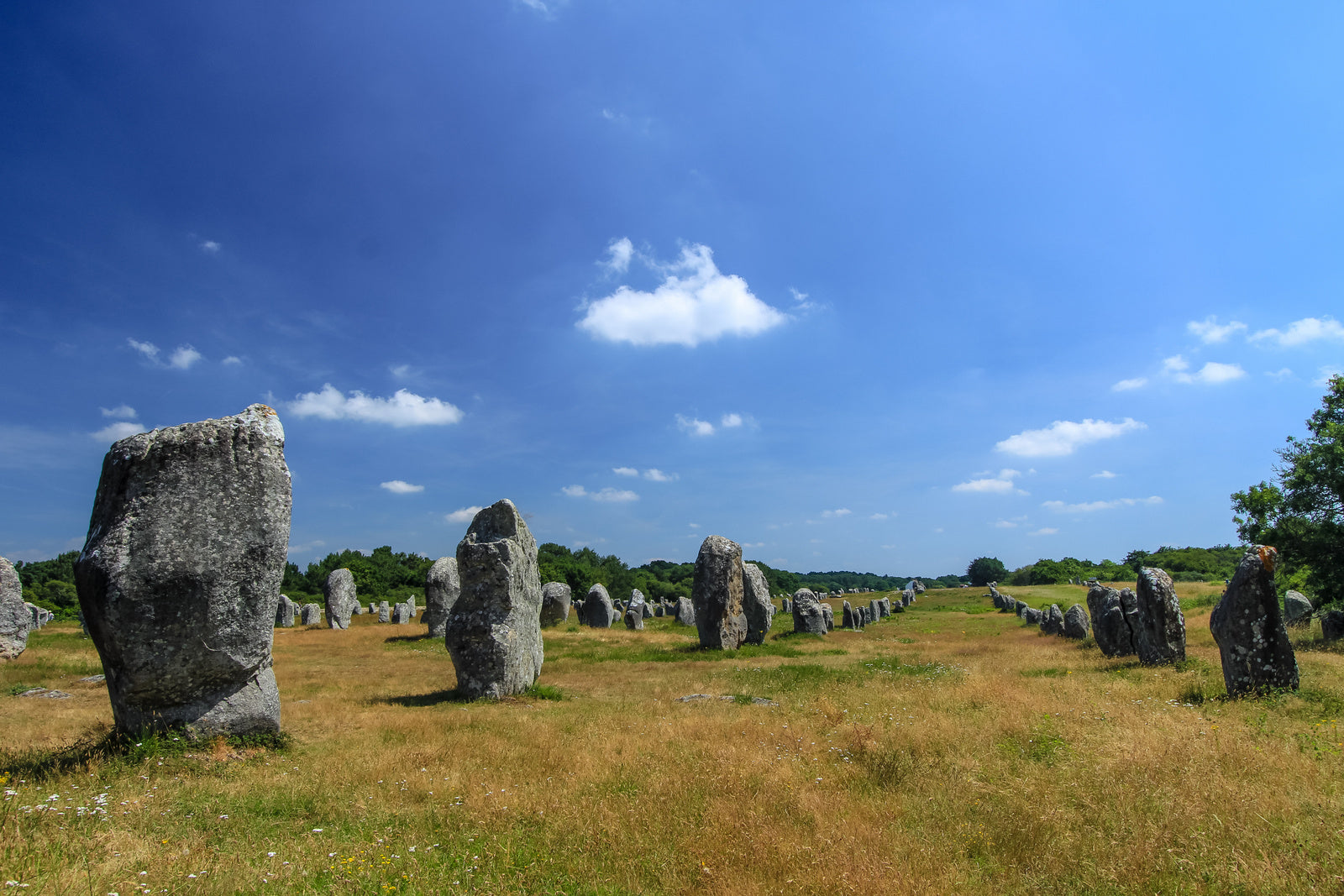Magical France by Rob Wildwood - Alignments du Menec