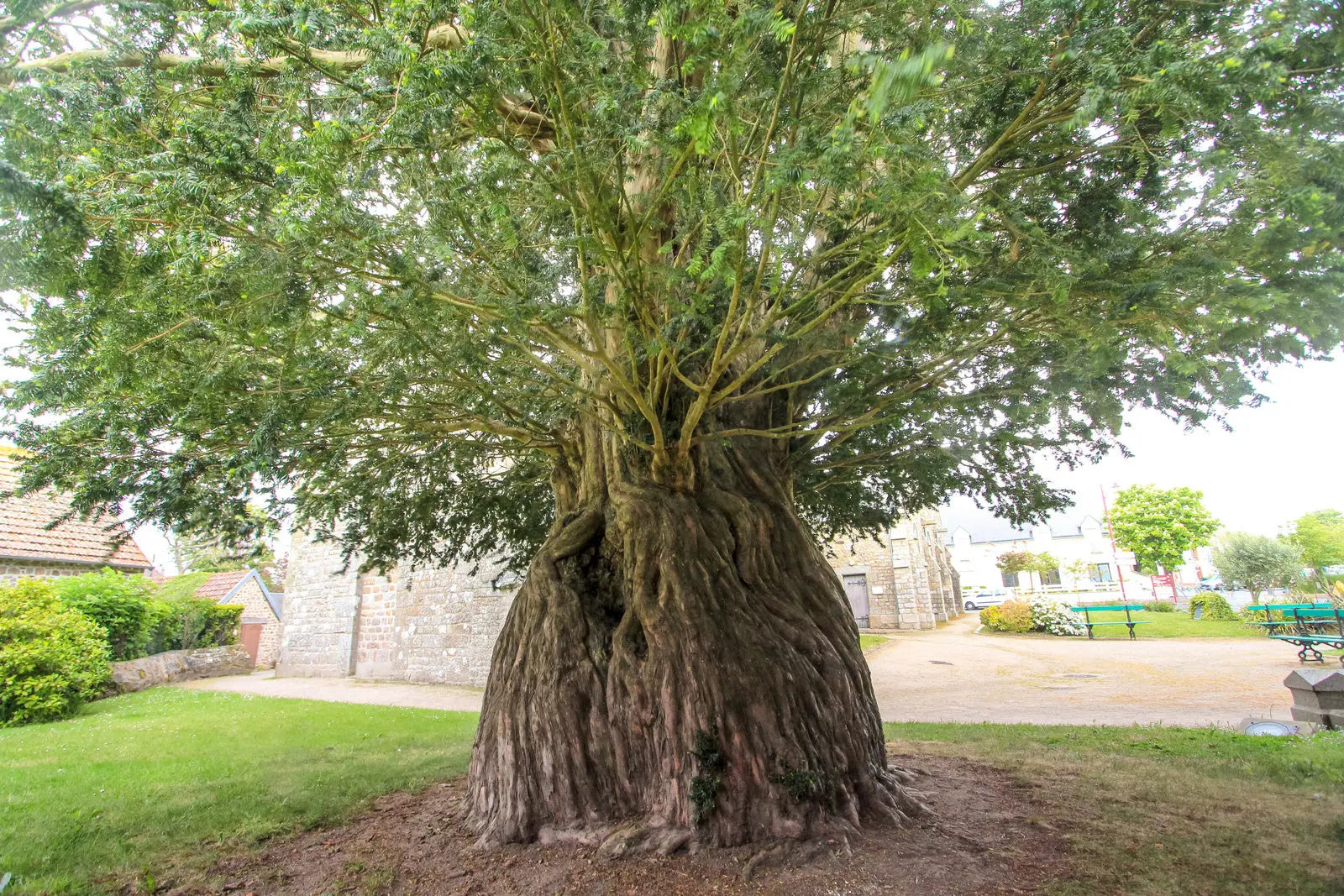 Magical France by Rob Wildwood - Eglise Saint Vigor Carolles