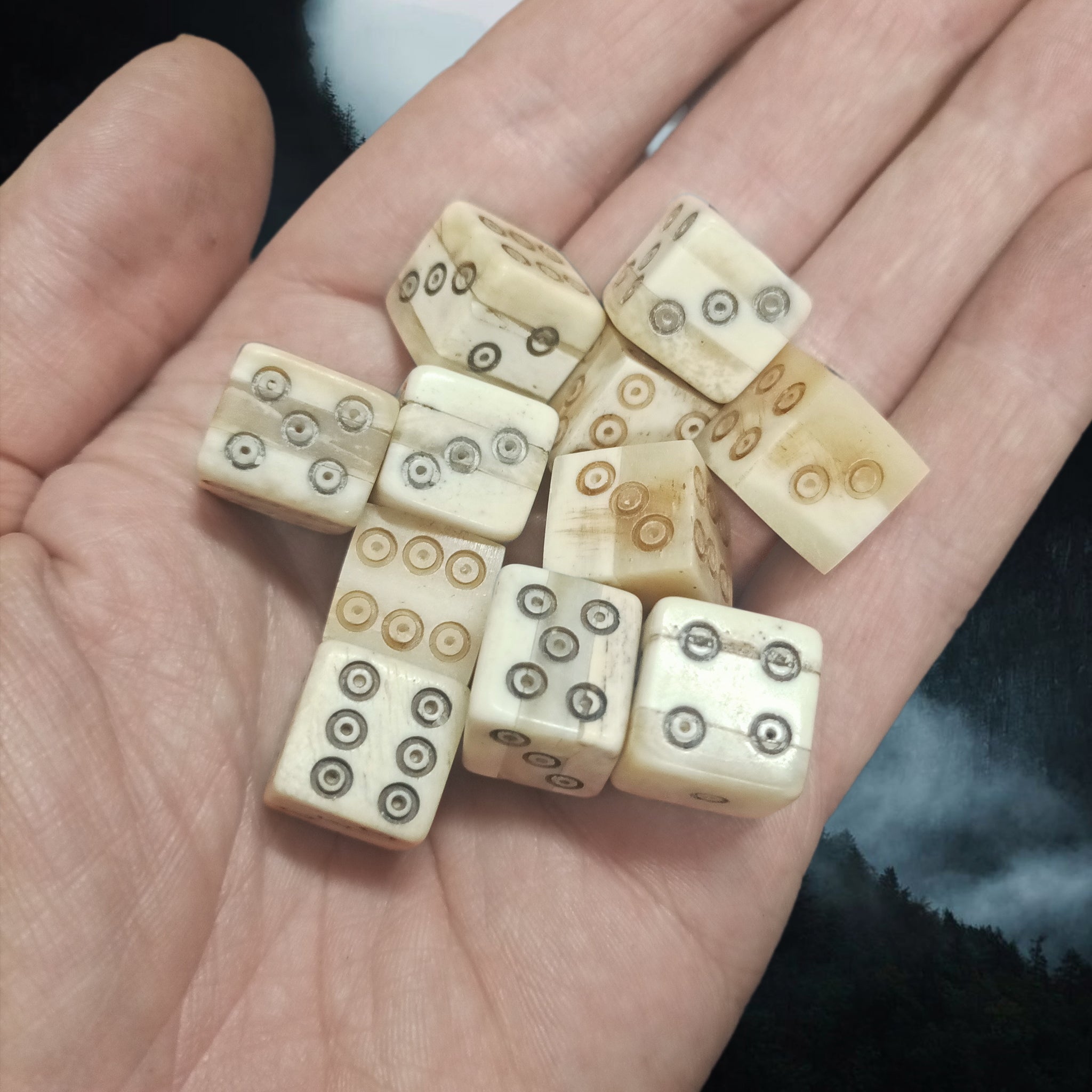 Large Size Cow Bone Dice Replicas with Hand-Carved Dot & Ring Spots on Hand