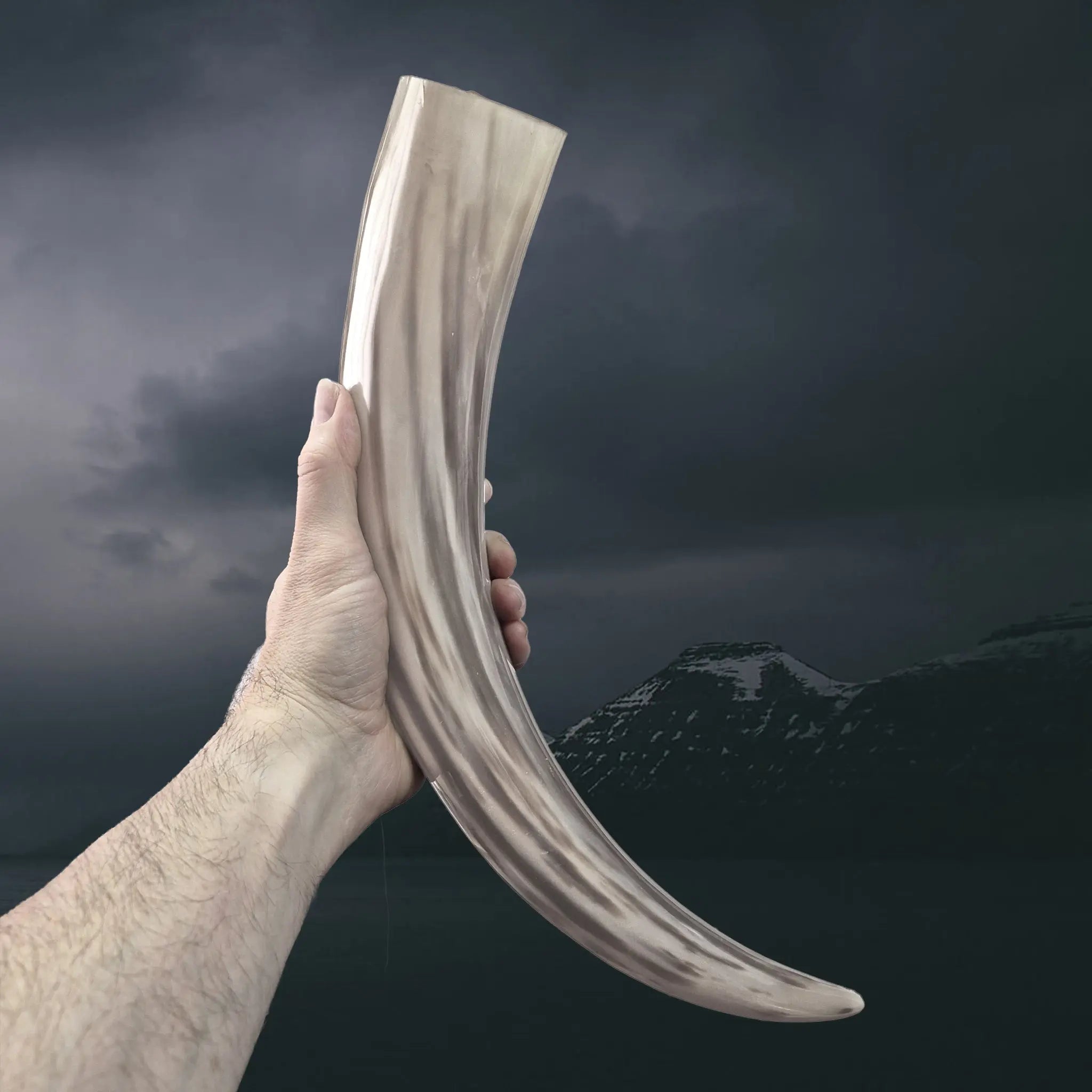 Long and Slender Polished Viking Drinking Horn in Hand