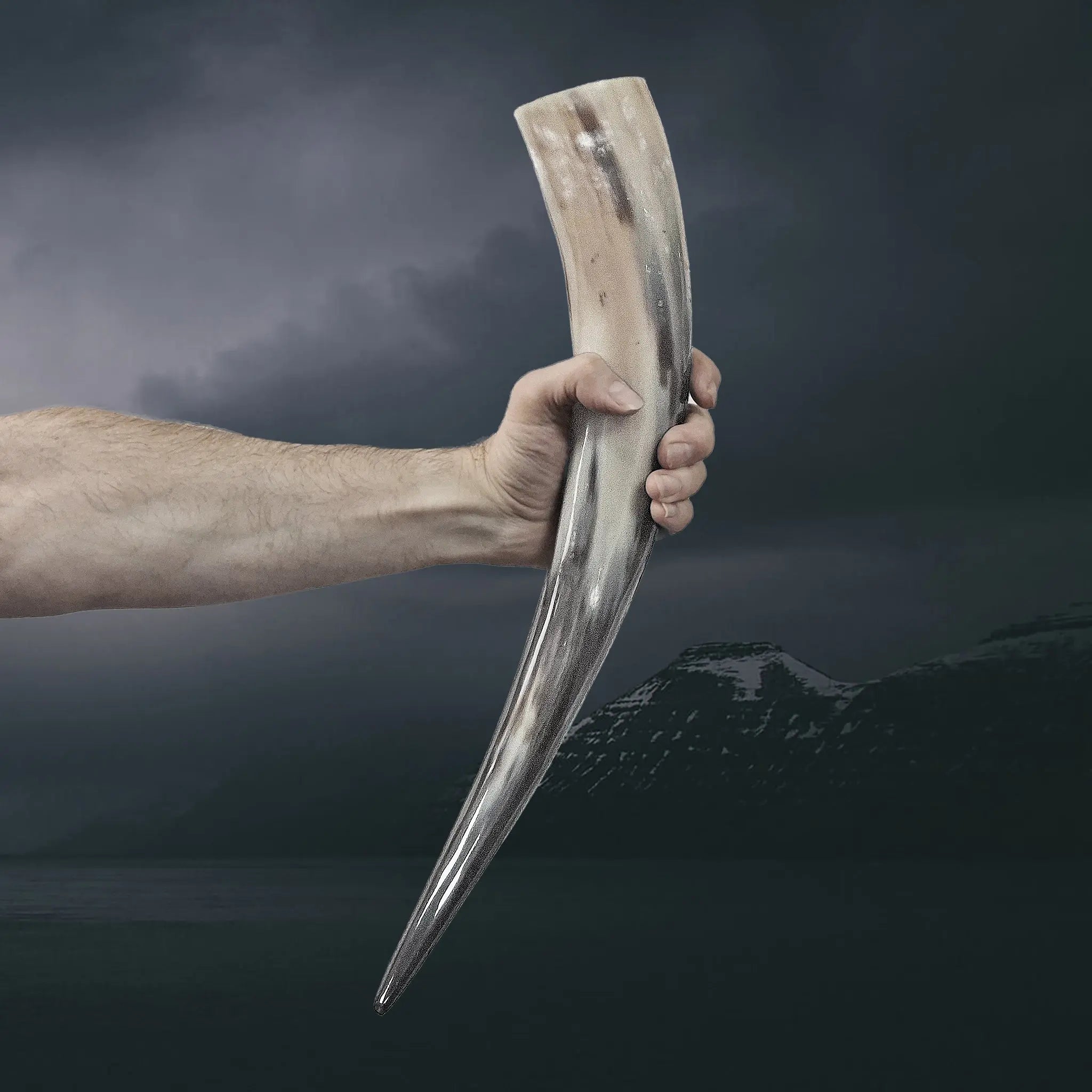 Long and Slender Polished Viking Drinking Horn in Stretched Arm