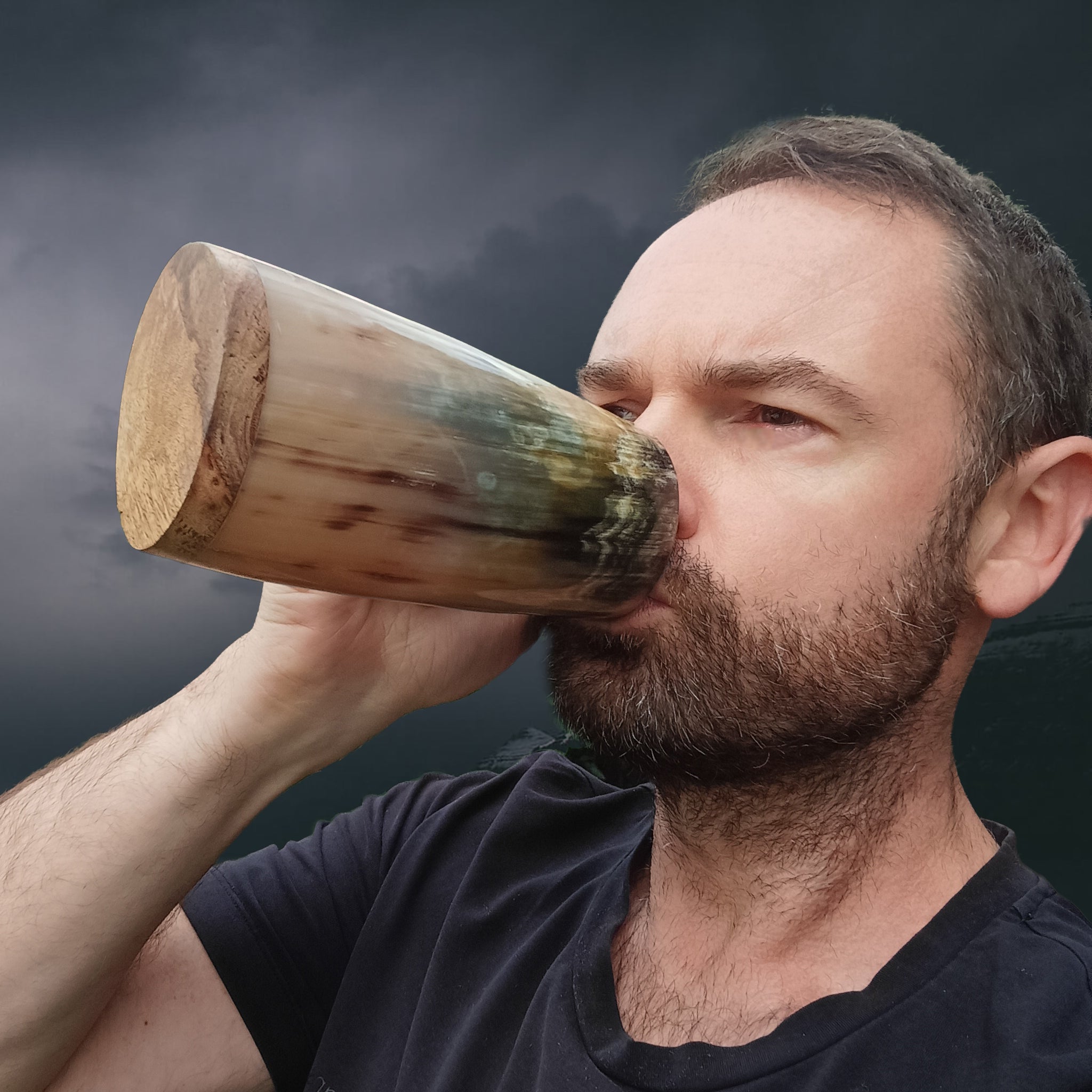 Drinking from a Medium Polished Ox Horn Beer Mug