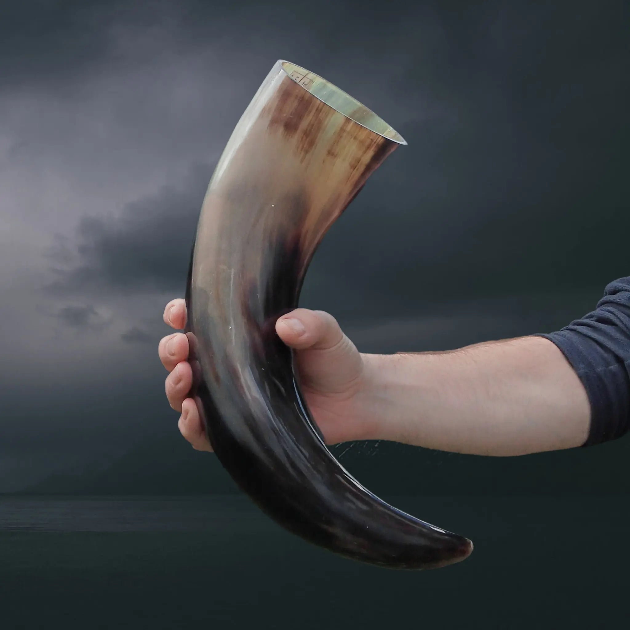 Ox Horn Polished Viking Drinking Horn in Hand - Extra Large