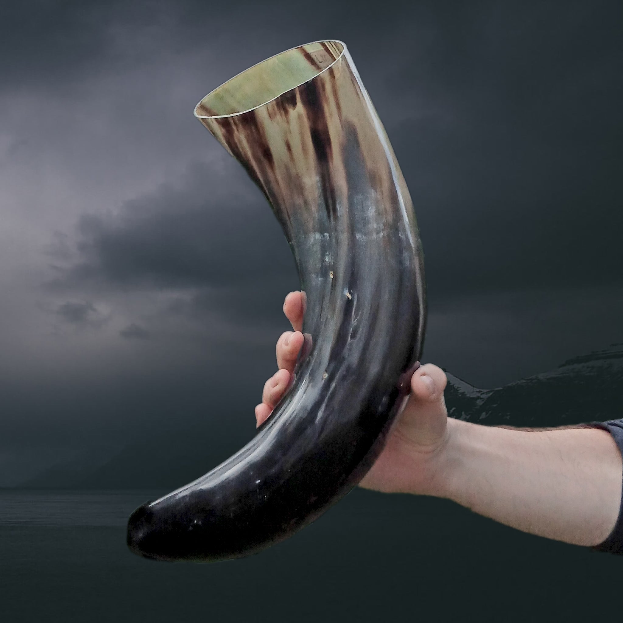 Ox Horn Polished Viking Drinking Horn in Hand - Huge
