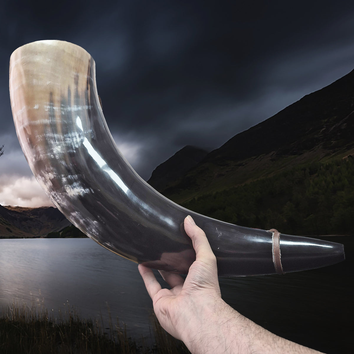 Extra Large Viking Polished Blowing Horn / Bugle - Viking Signal Horn in Hand