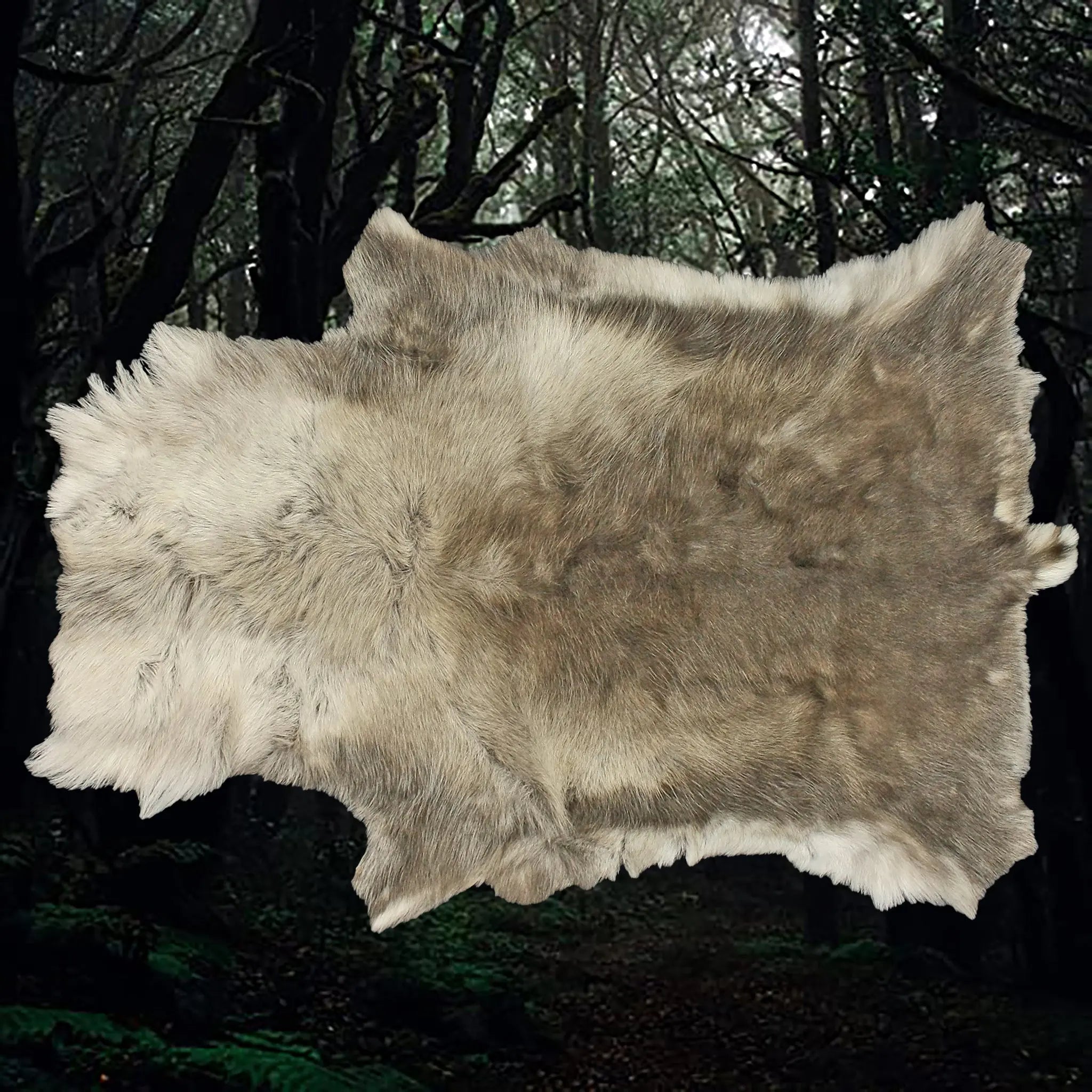 Cleaned & Treated Full Reindeer Hide from Lappland - Rug / Wall Ornament - Slimmer Shape