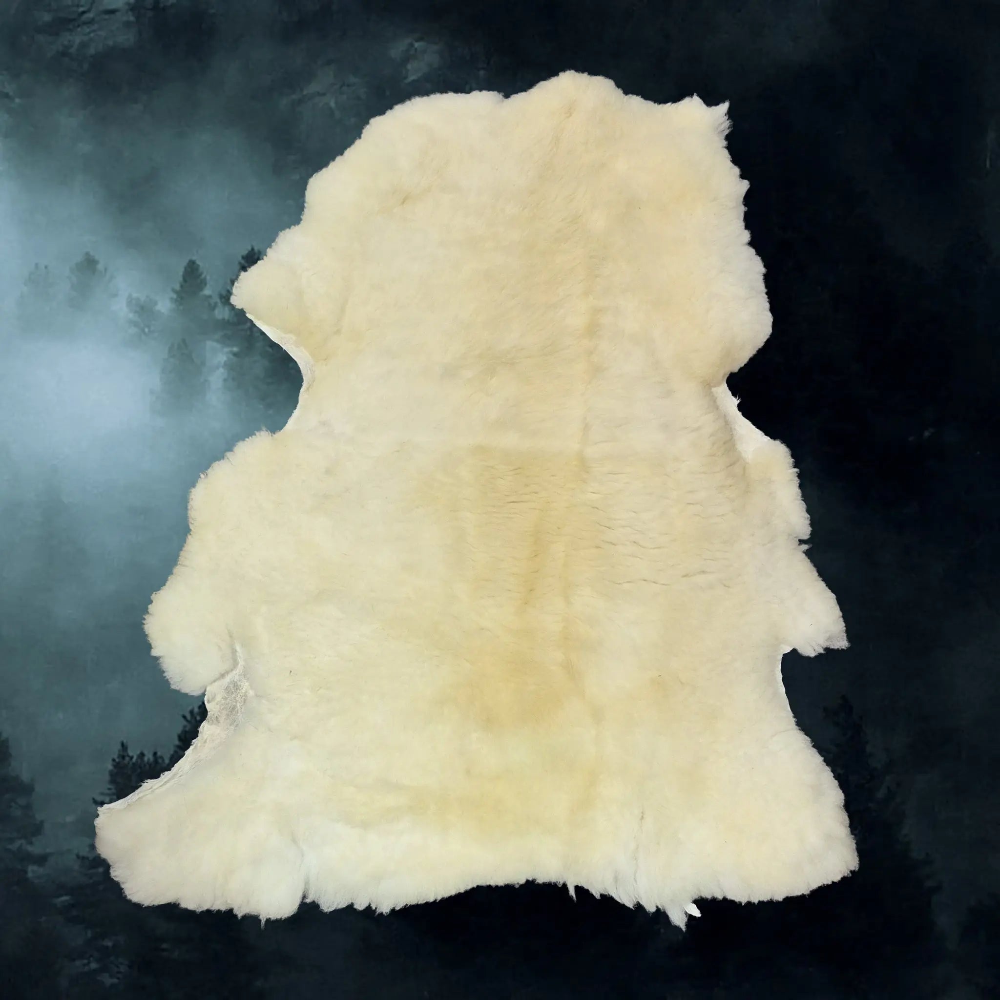 Full Sheep Skin Fleece from England, UK - Example 4