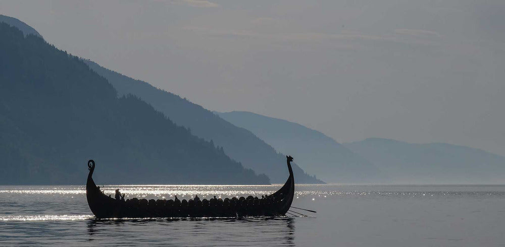 The Viking Dragon - About Us