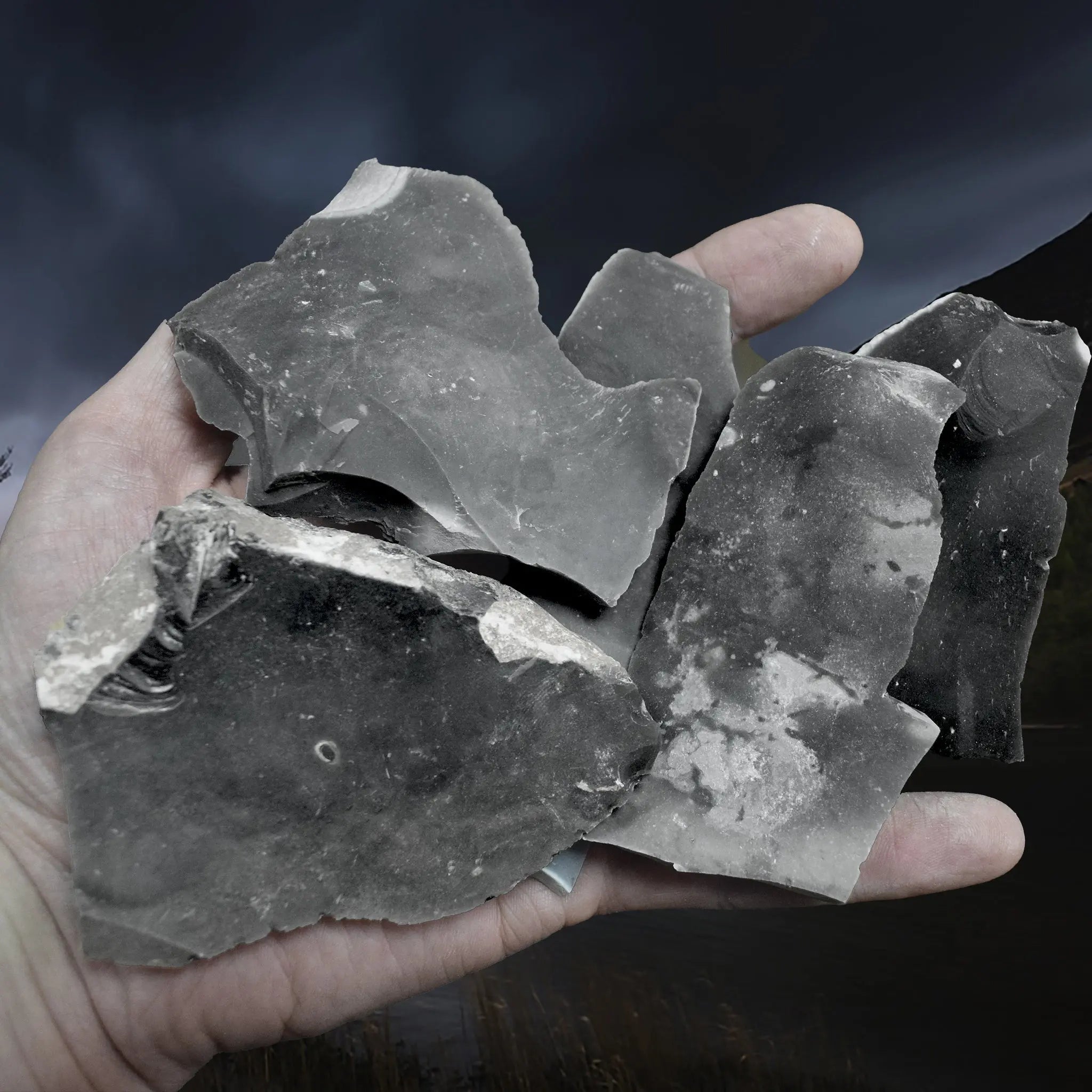 Hand-Knapped Small Flint Flakes x 5 from the UK on Hand