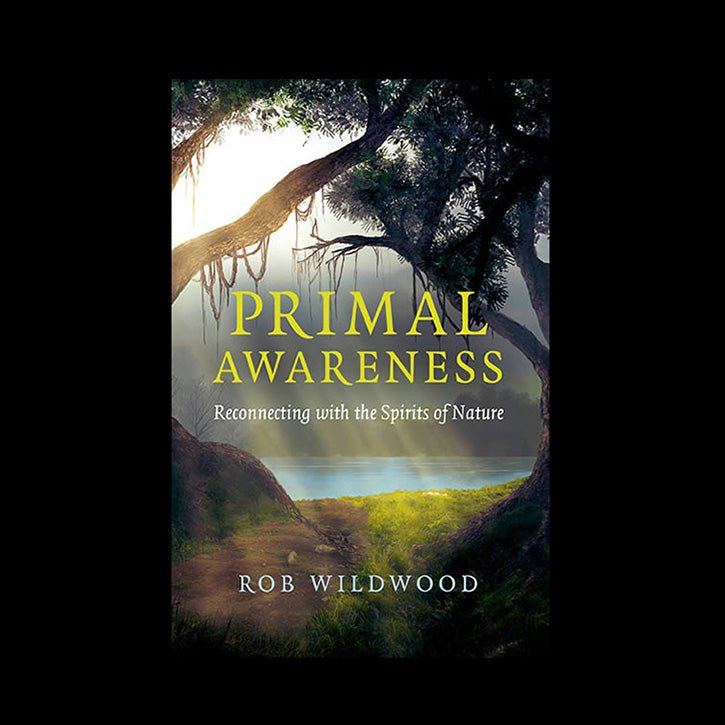 Primal Awareness Book Front Cover by Rob Wildwood - Viking Dragon Books