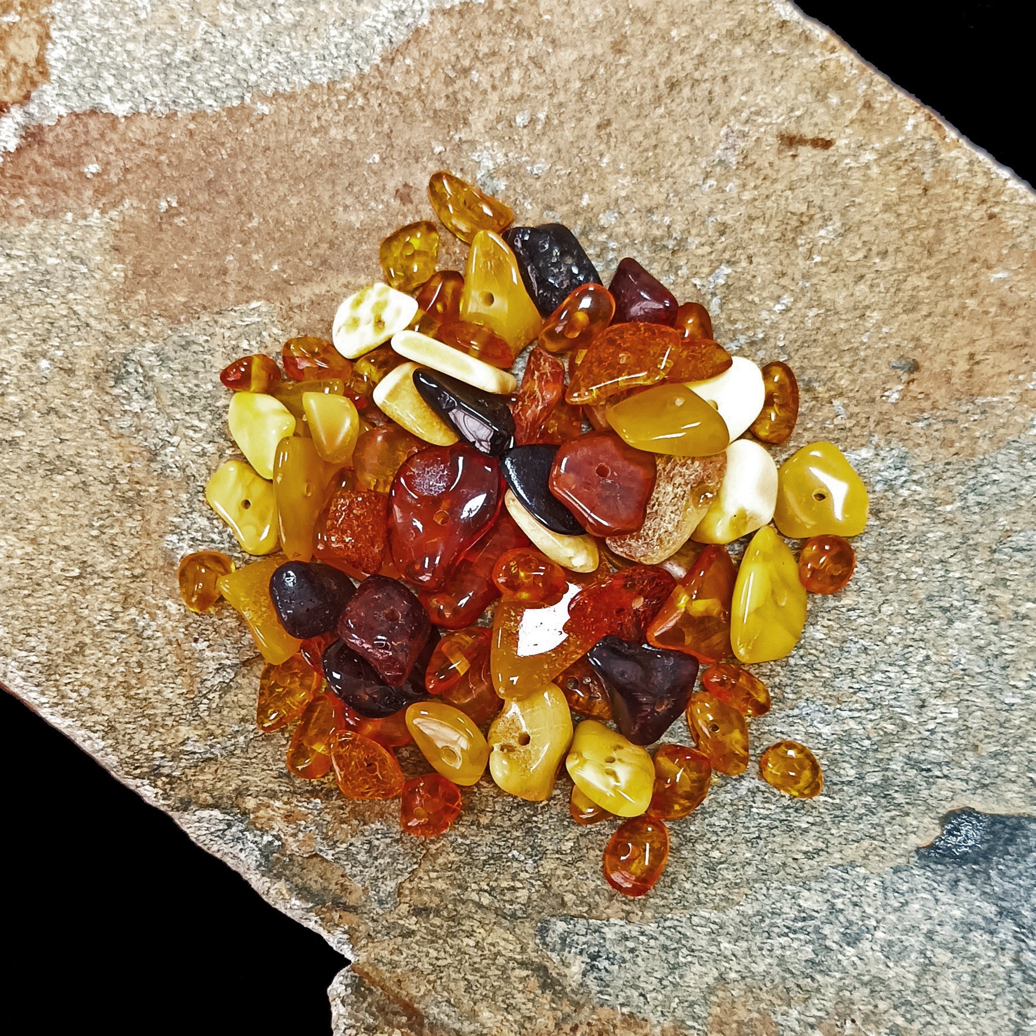 Polished Amber Chips With Drilled Holes on Rock x 10g