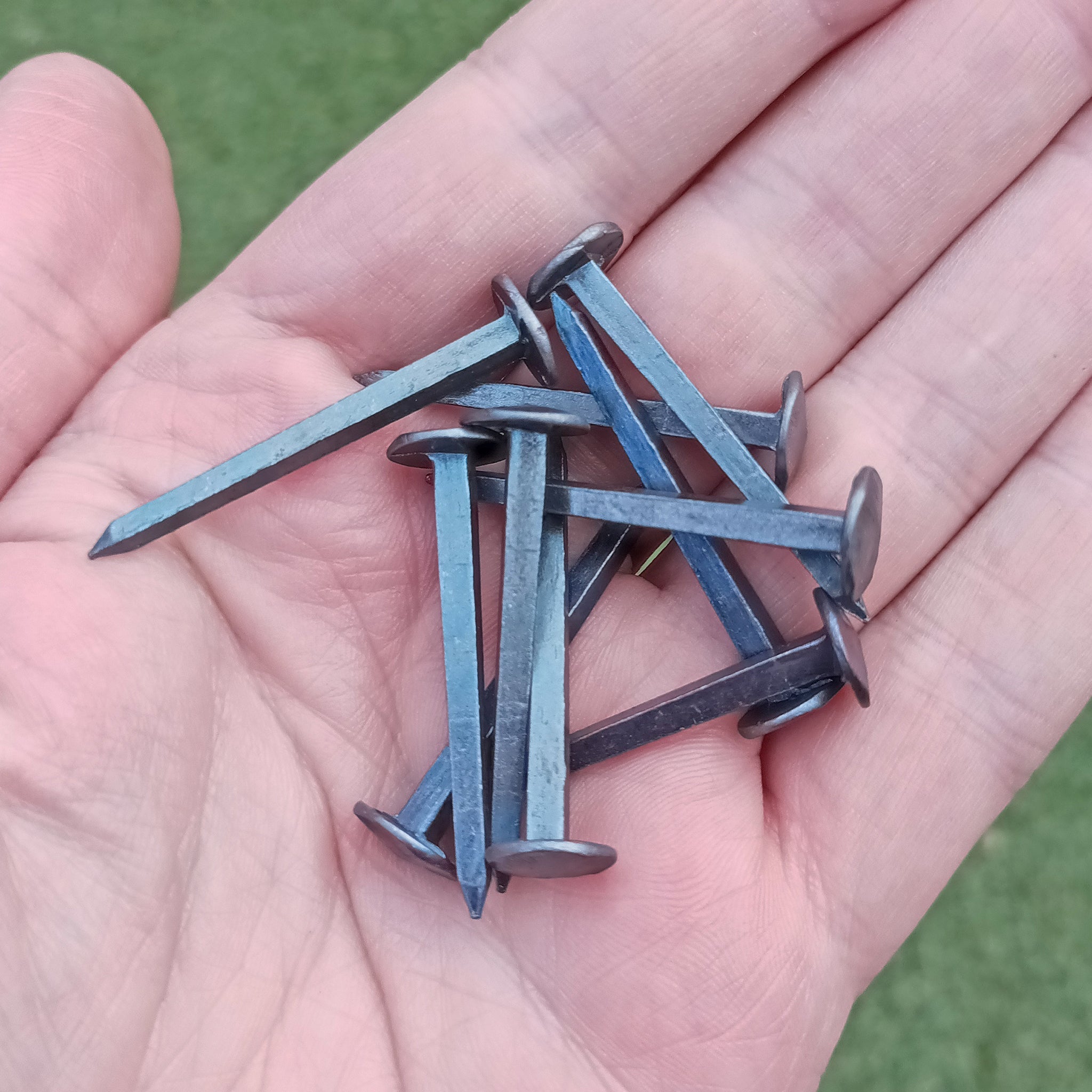 Steel Shield Rivets / Nails - Medium x 10 on Hand