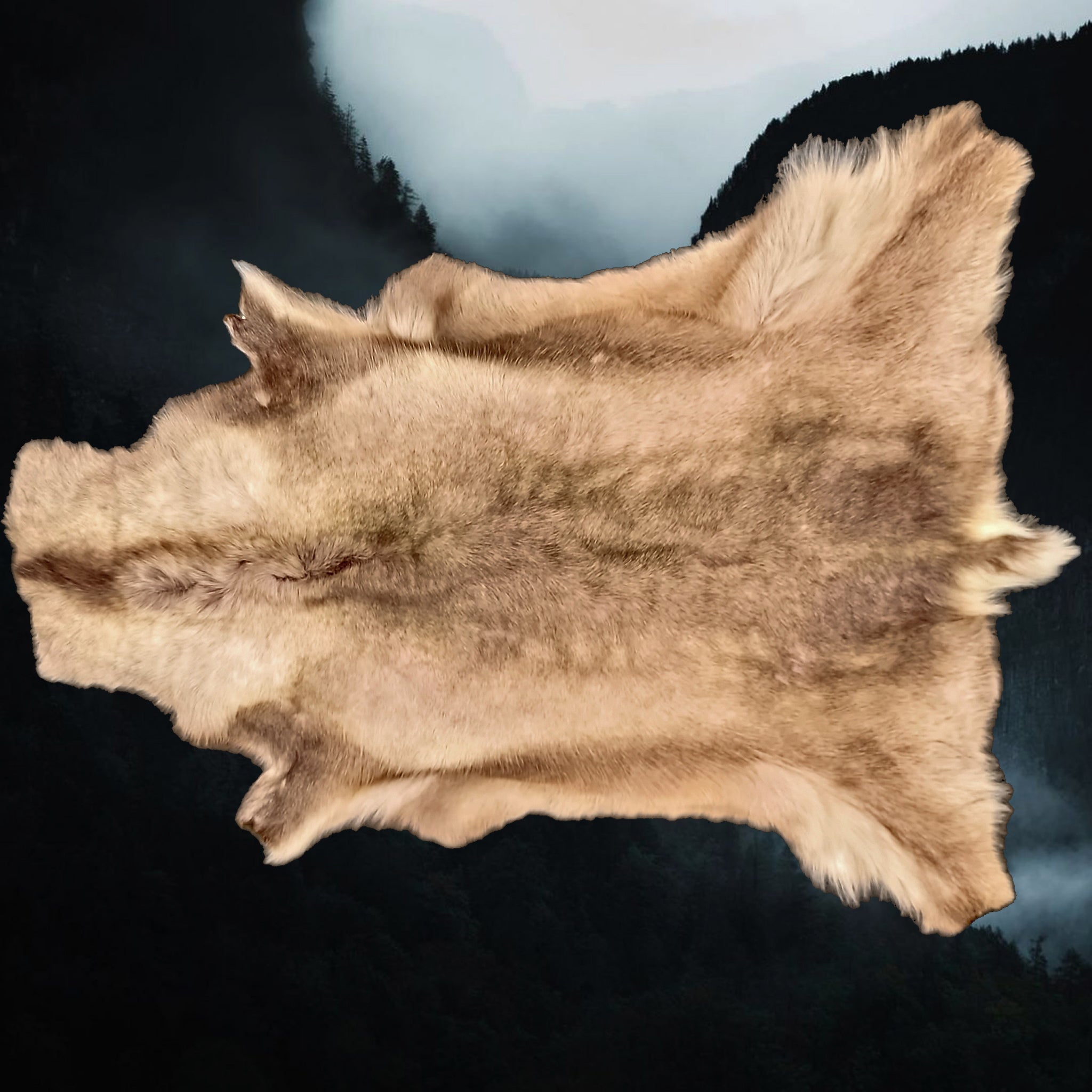 Full reindeer hide from Lappland - Animal Skins from The Viking Dragon
