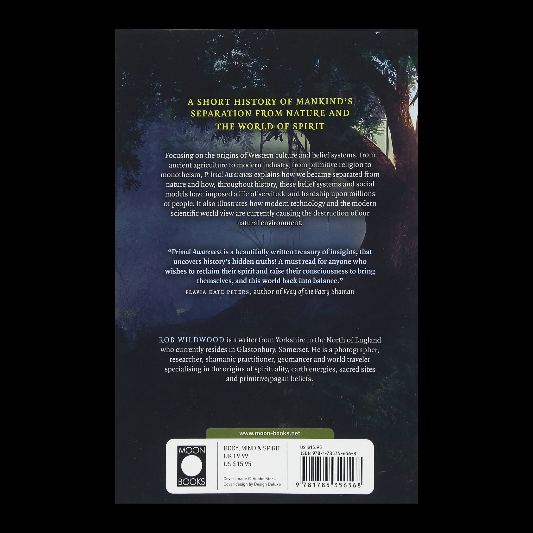 Primal Awareness Book by Rob Wildwood - Back Cover - Viking Dragon Books