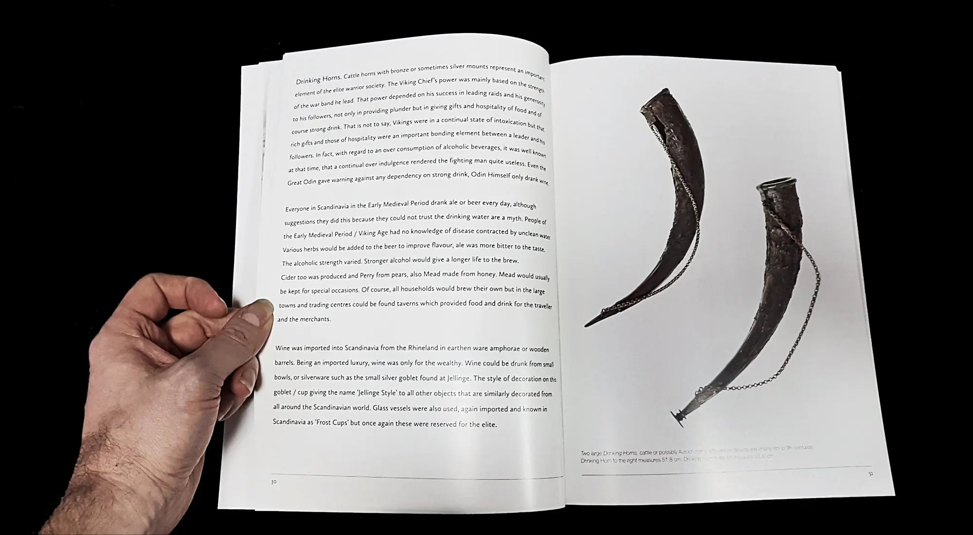 Vikings - Swords Dripping Gold - Silver - Blood - Book - Inside