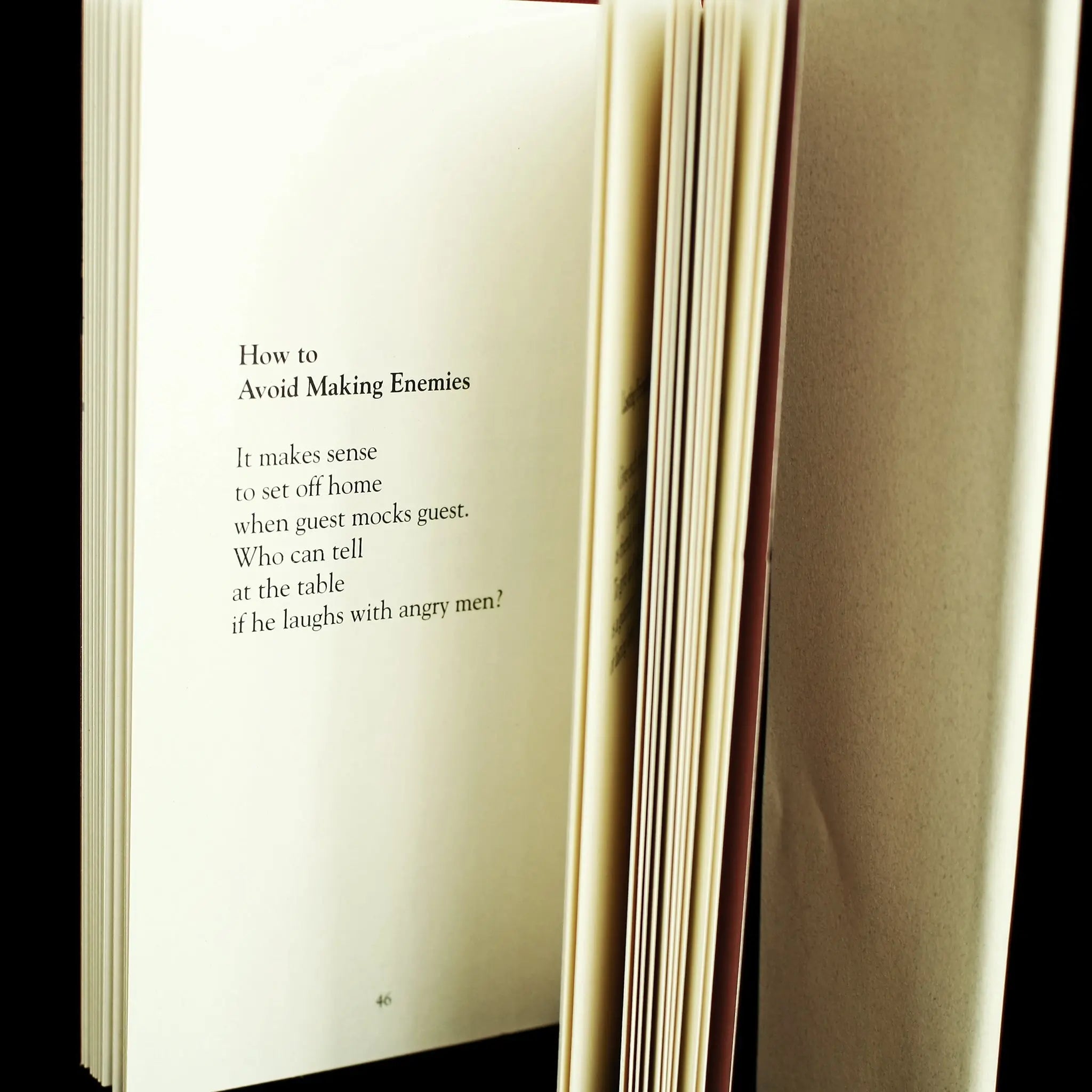 The Sayings of the Vikings Book - How to Avoid Making Enemies - Viking Books