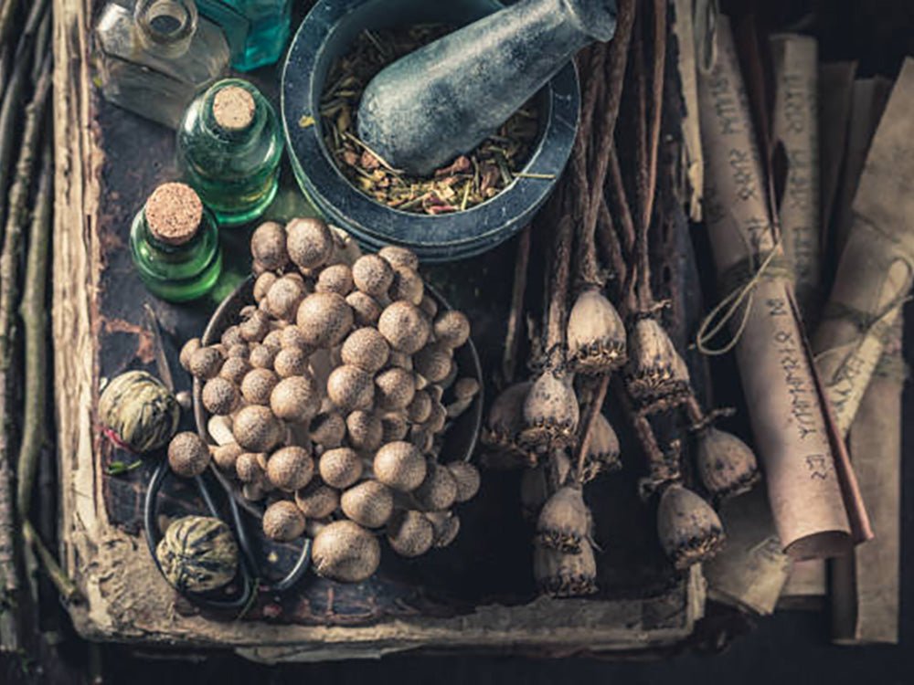 Viking Age Ingredients for Medicine - Health and Healing in the Viking Age