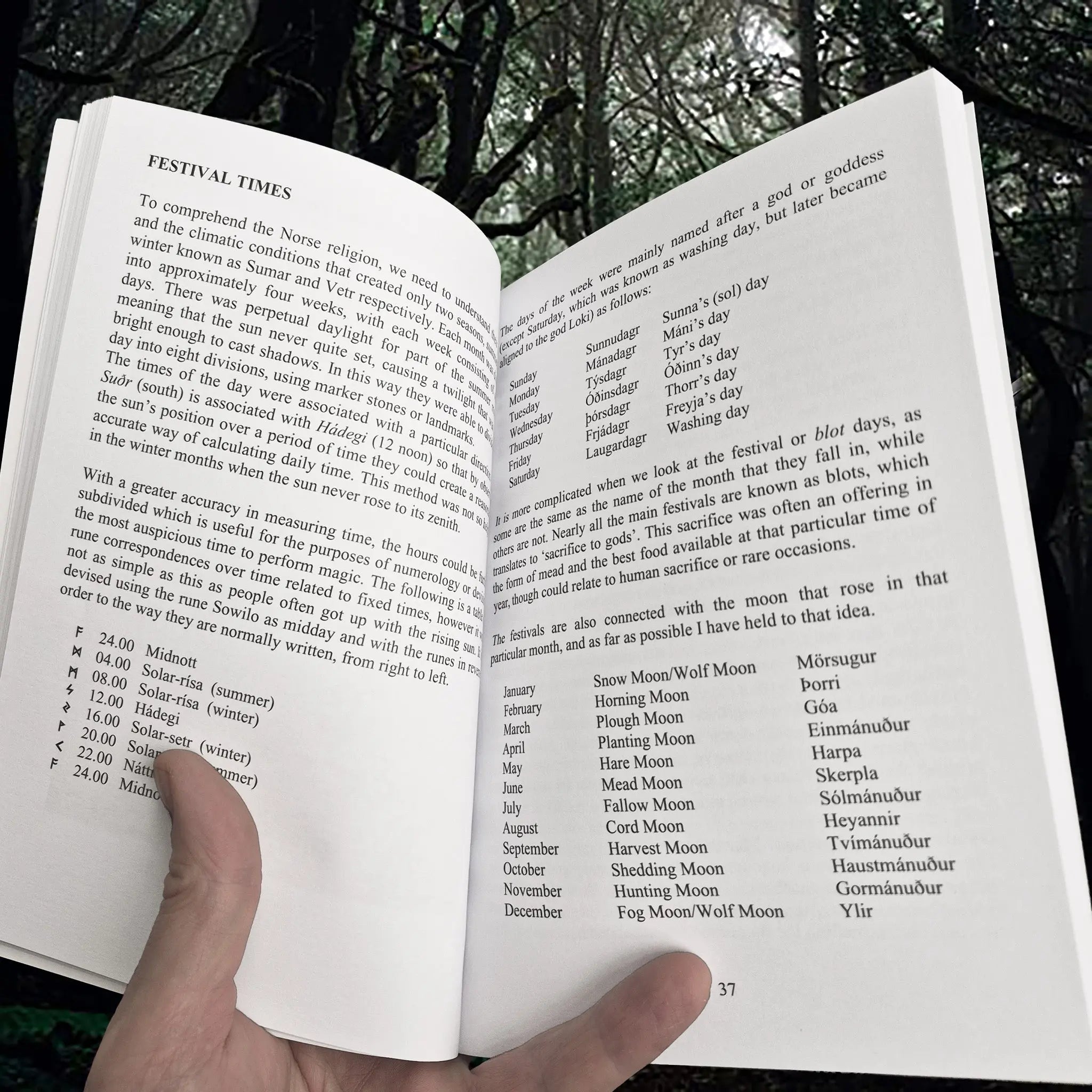 Galdrbok Book - Magical Norse Practices of Galdr & Seidr - Paul Sykes - Inside the Book - Festival Times