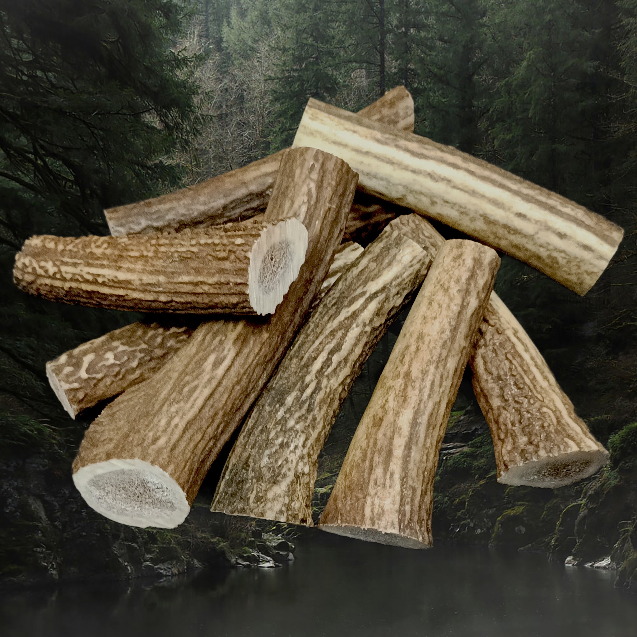 Scottish Stag Antler Rolls in Pile - Angle View