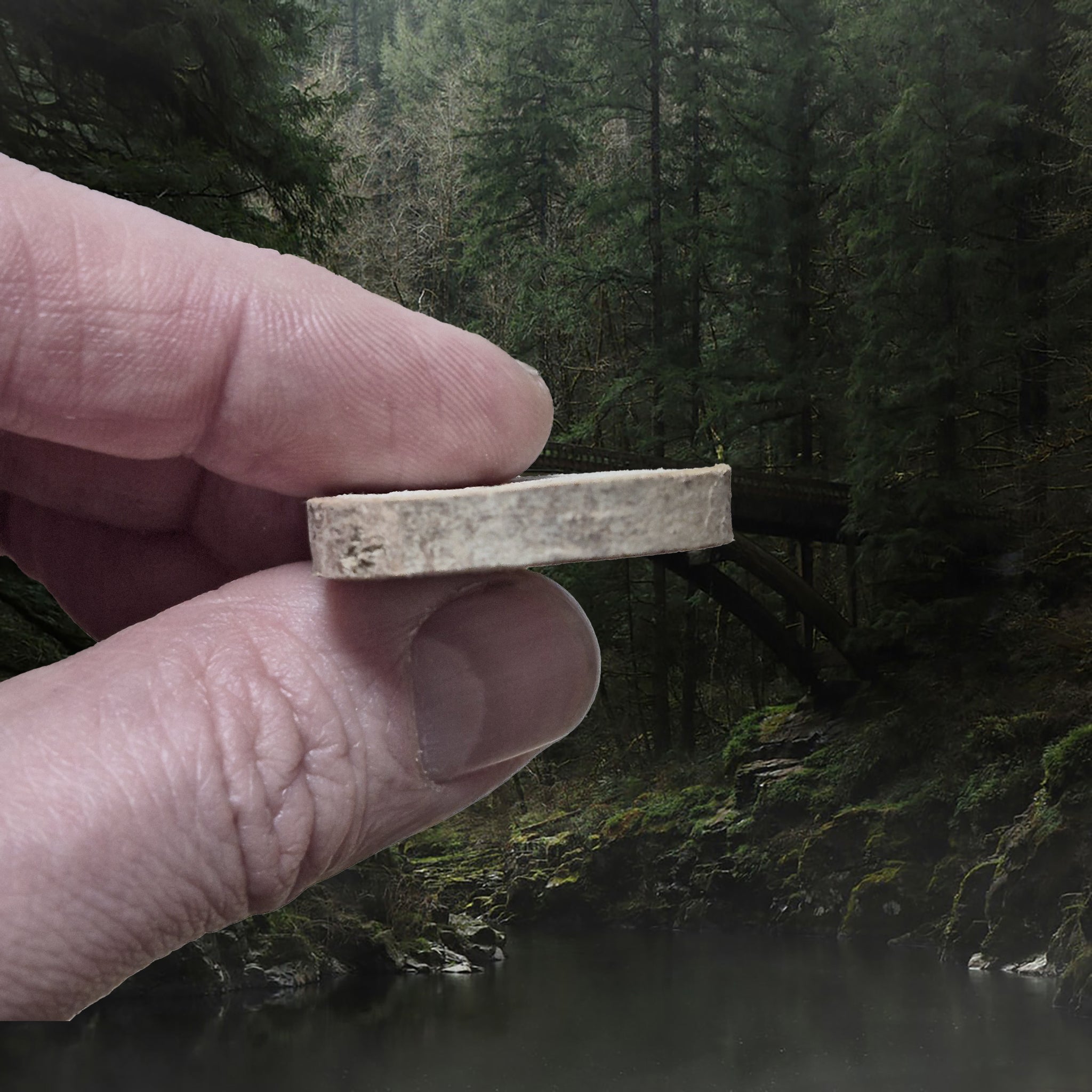 Elder Futhark Willow Wood Rune in Fingers - Side View