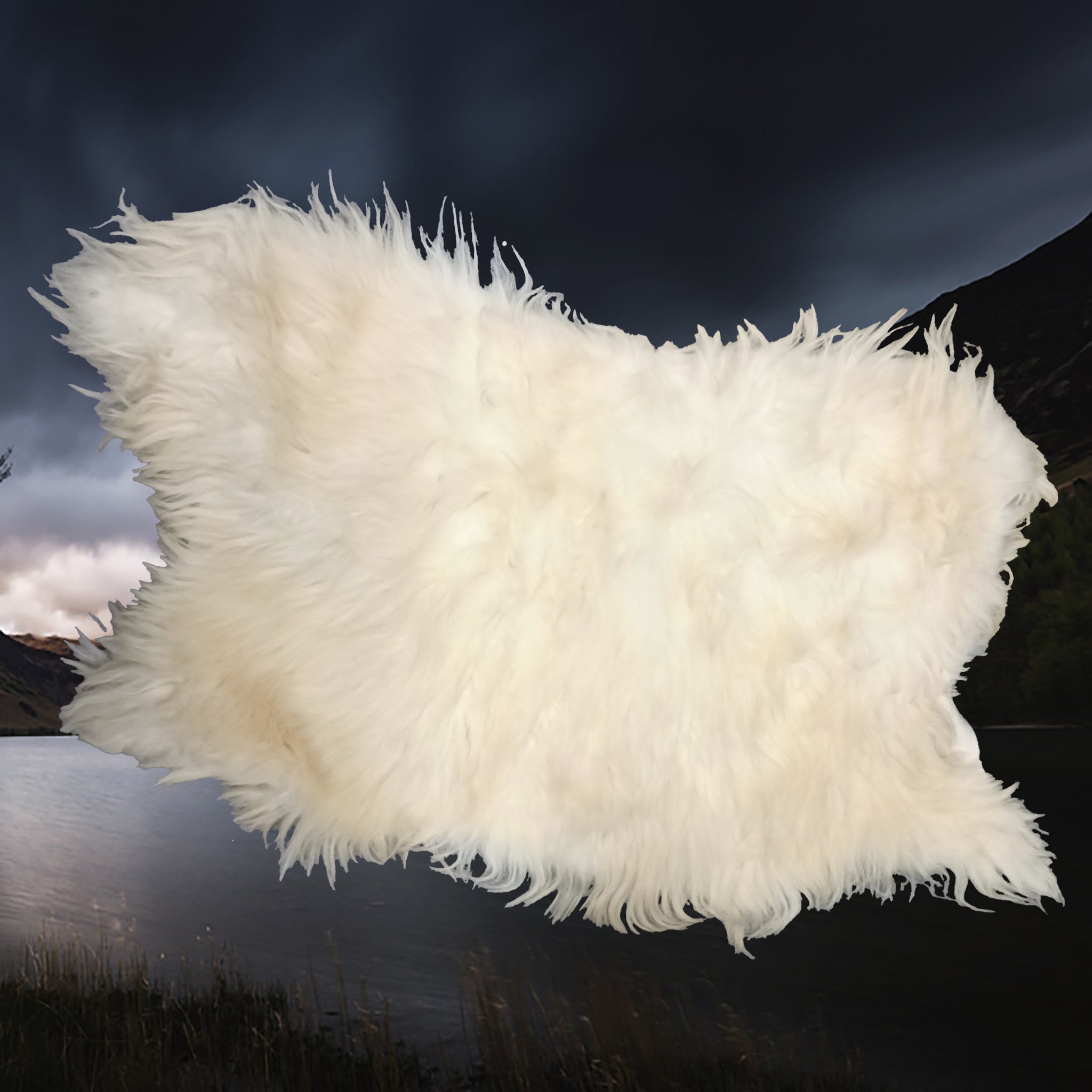 Full Sheep fleece from England, UK with Long White Hairs