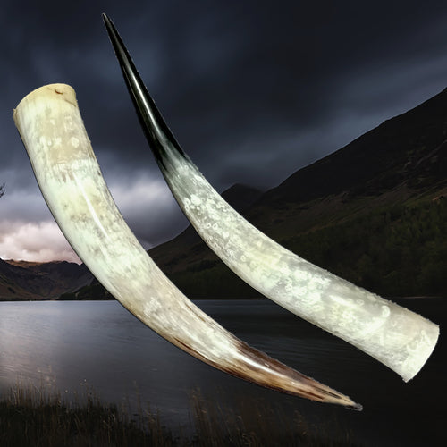 XL Extra Long Polished Viking Drinking Horns