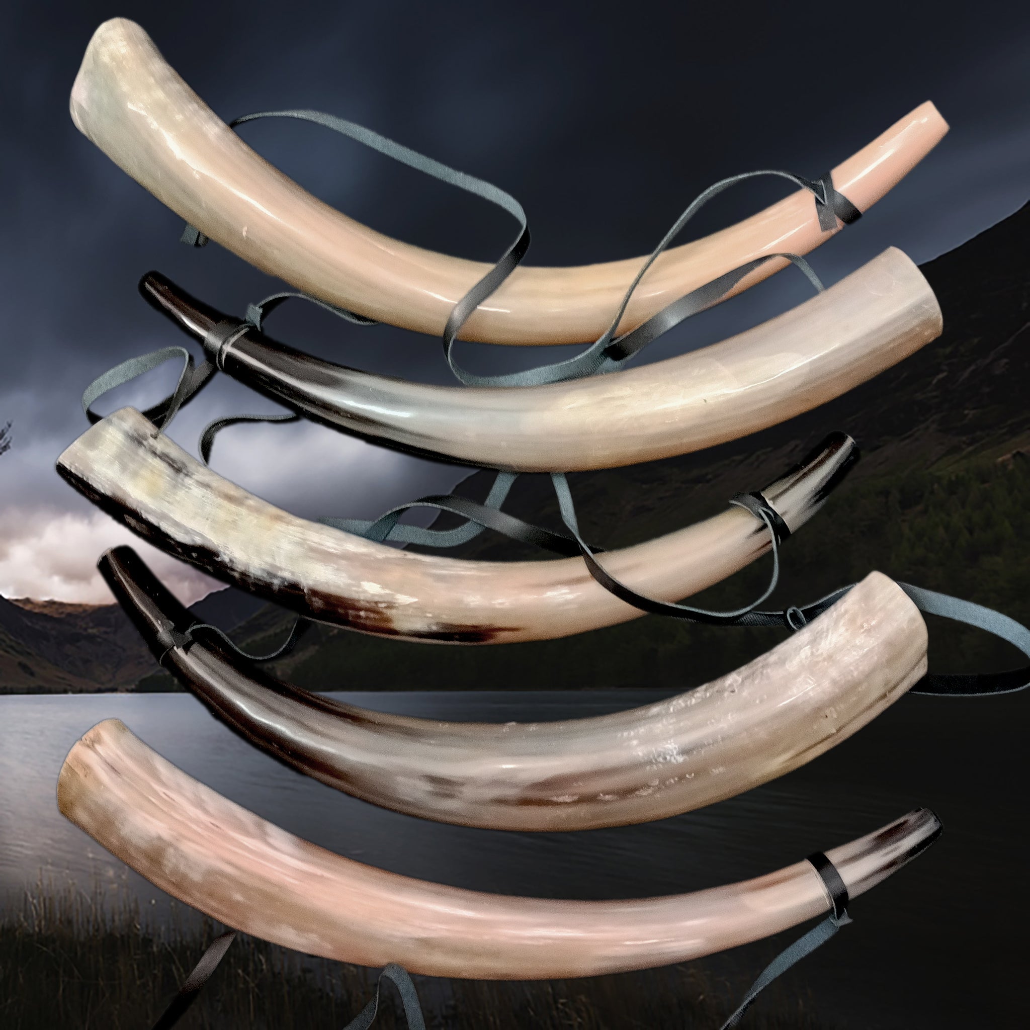 Large Polished Viking Blowing Horn - Stock Examples