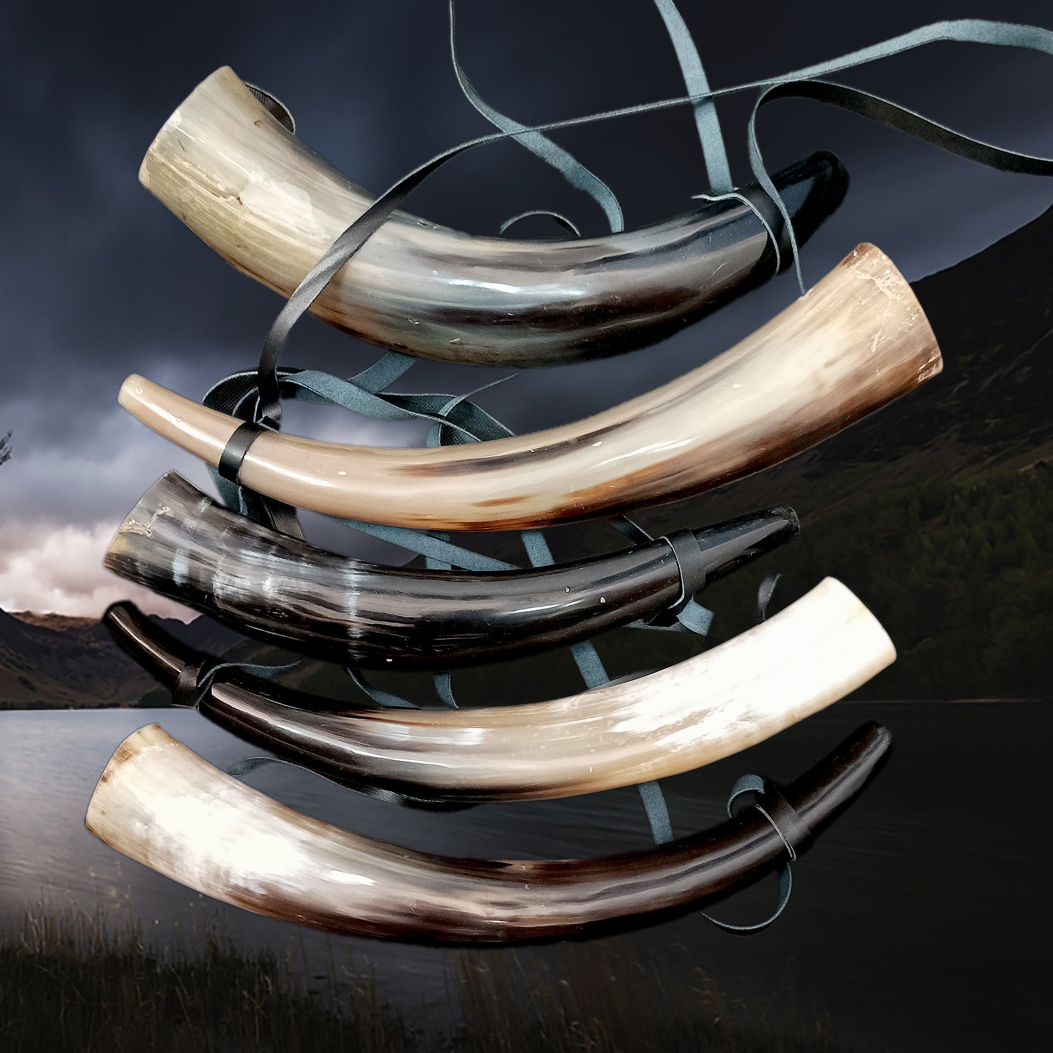 Medium Polished Viking Blowing Horn / Bugle - Stock Examples