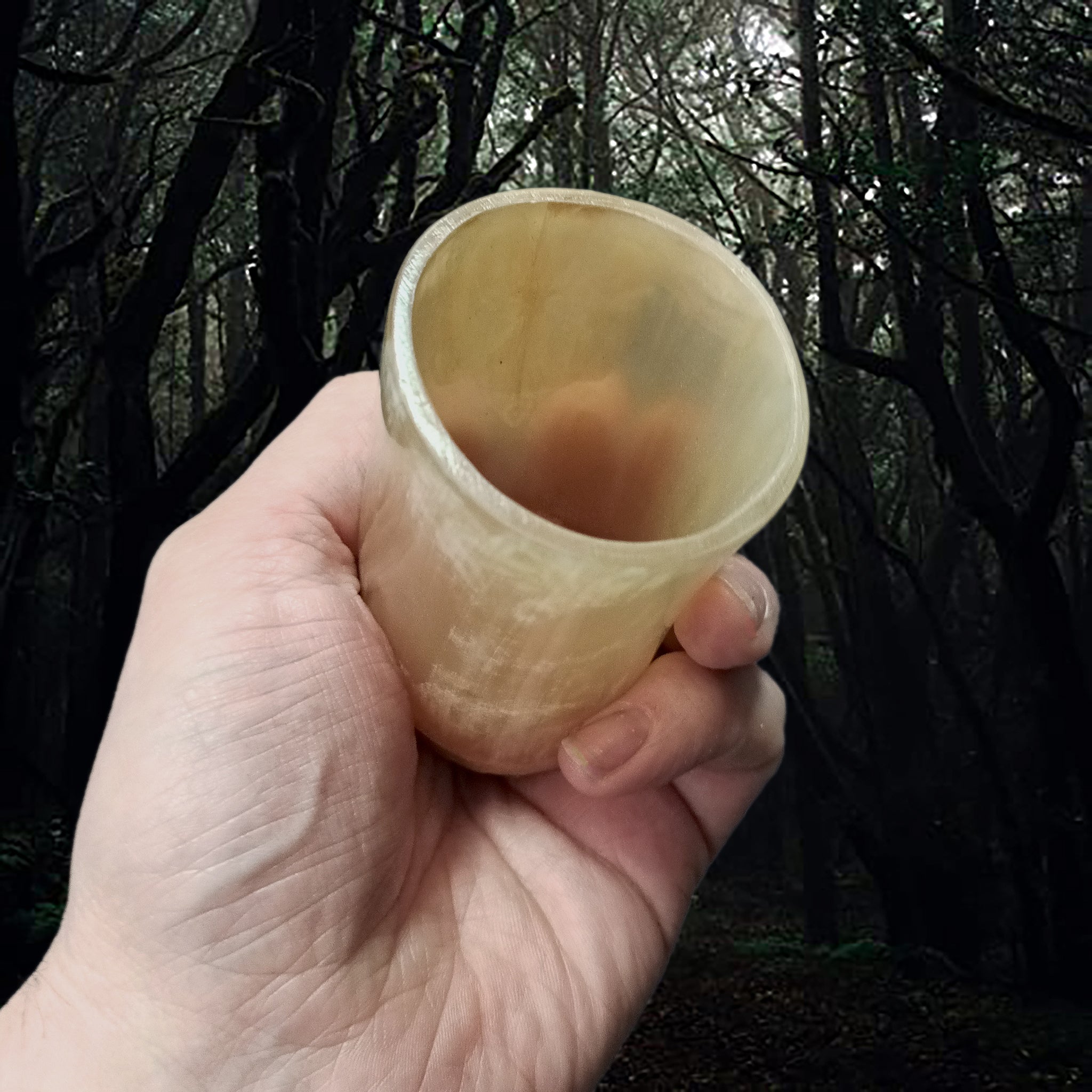 Handmade Cow Horn Dice Shaker / Shot Cups with Hard Wood Base in Hand - Light Colour Inside