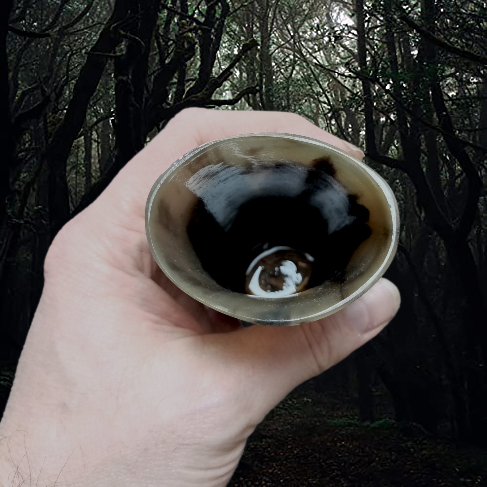 Handmade Polished Cow Horn Mead Cup with Hardwood Base in Hand - Inside View