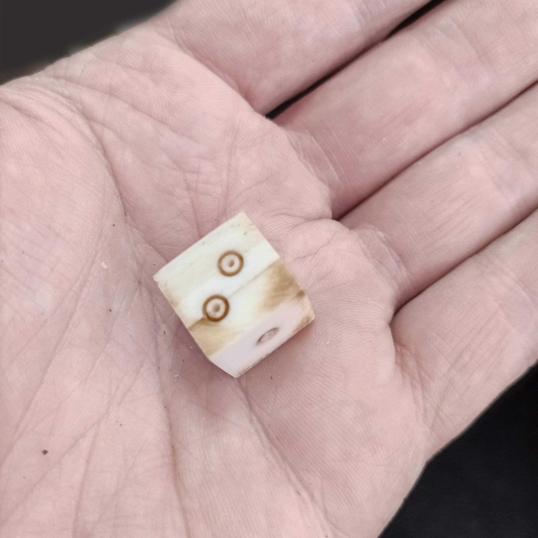 Large Bone Die With Brown Dot and Rings Marks On Hand