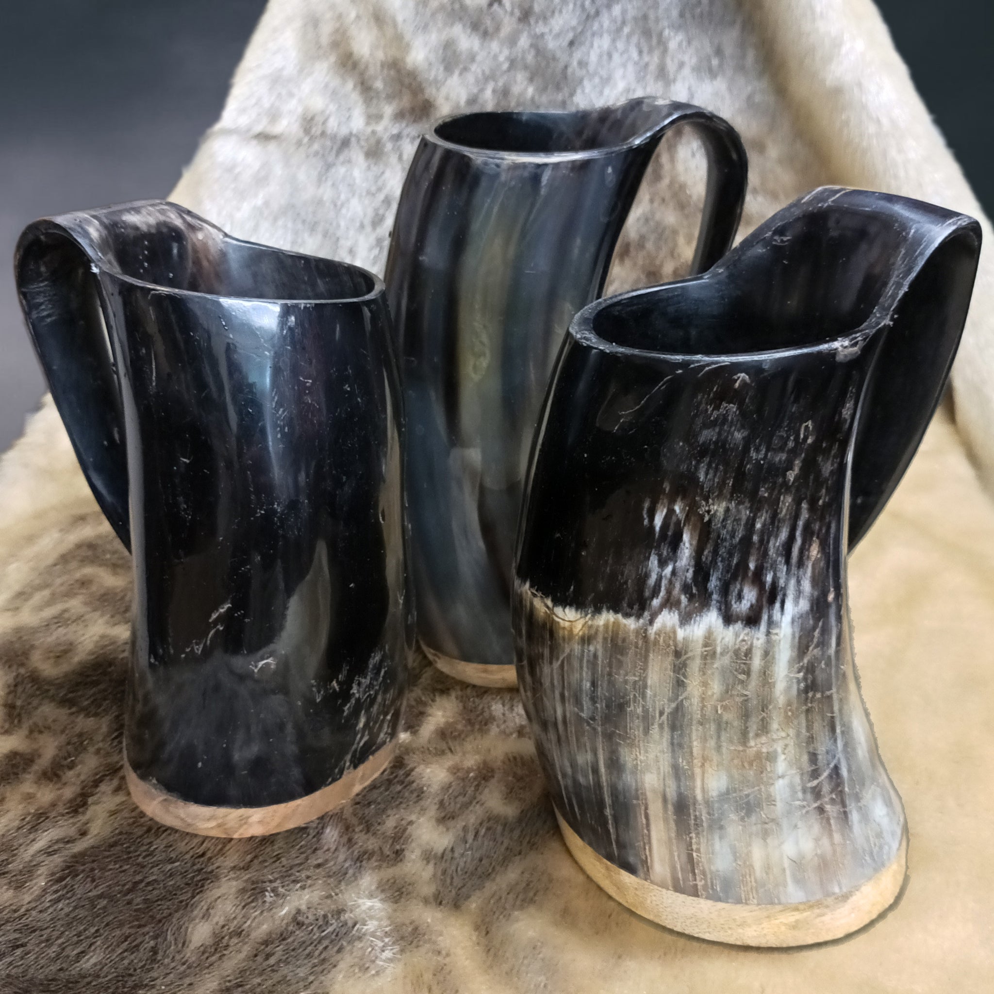 Large Polished Ox Horn Beer Mugs on Seal Skin
