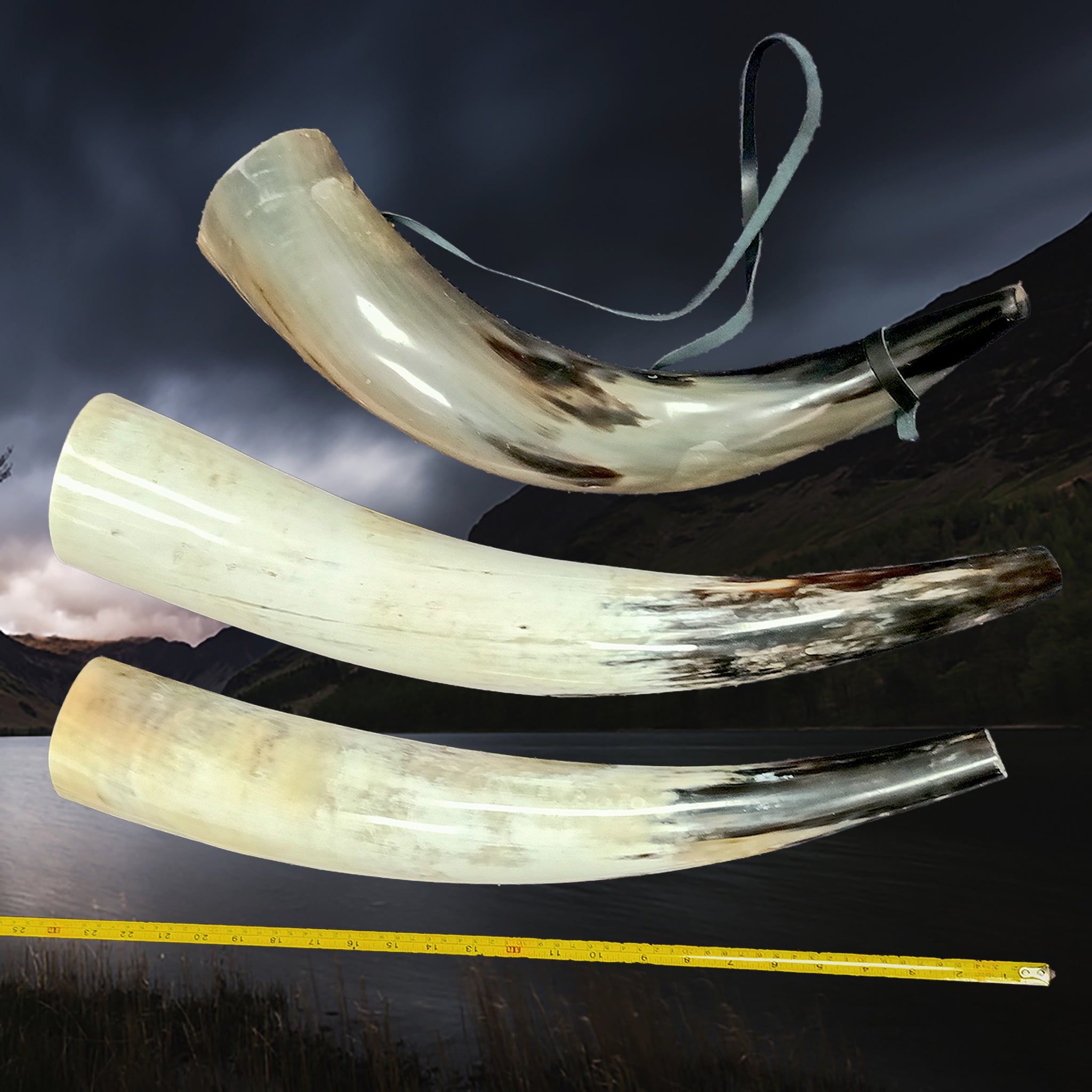 Large Polished Viking Blowing Horns / Bugles Examples with Masurement