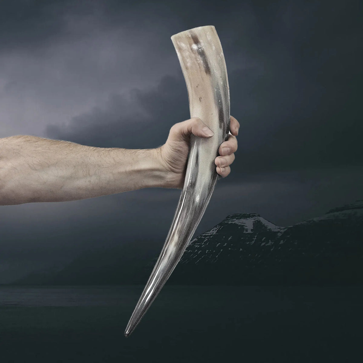 Long and Slender Polished Viking Drinking Horn in Stretched Arm