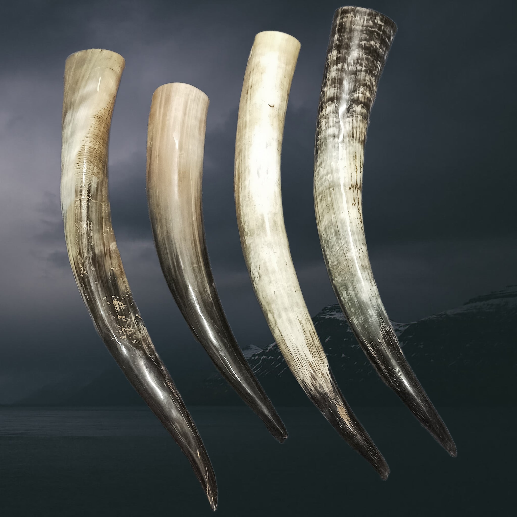 Long and Slender Polished Viking Drinking Horns