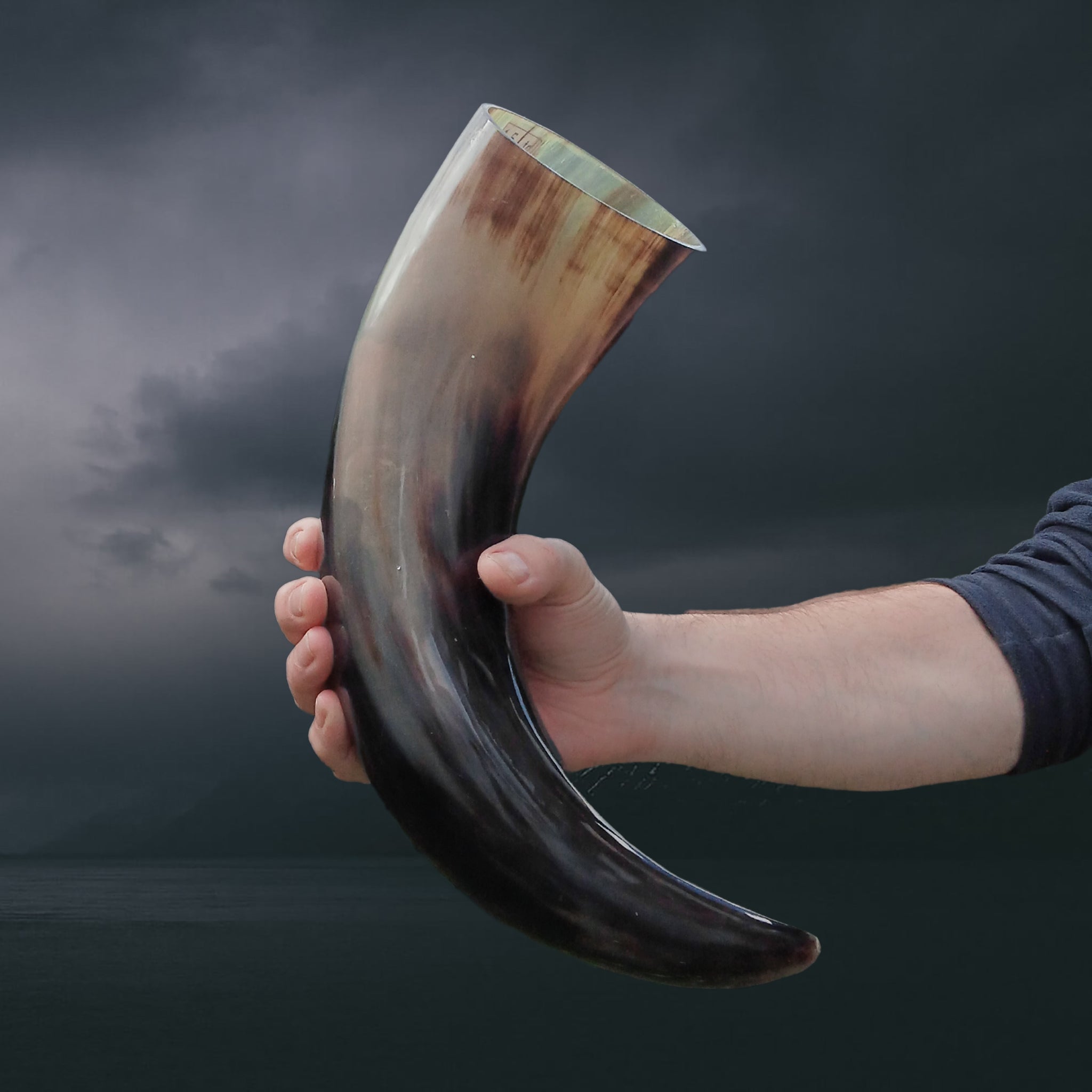 Ox Horn Polished Viking Drinking Horn in Hand - Extra Large