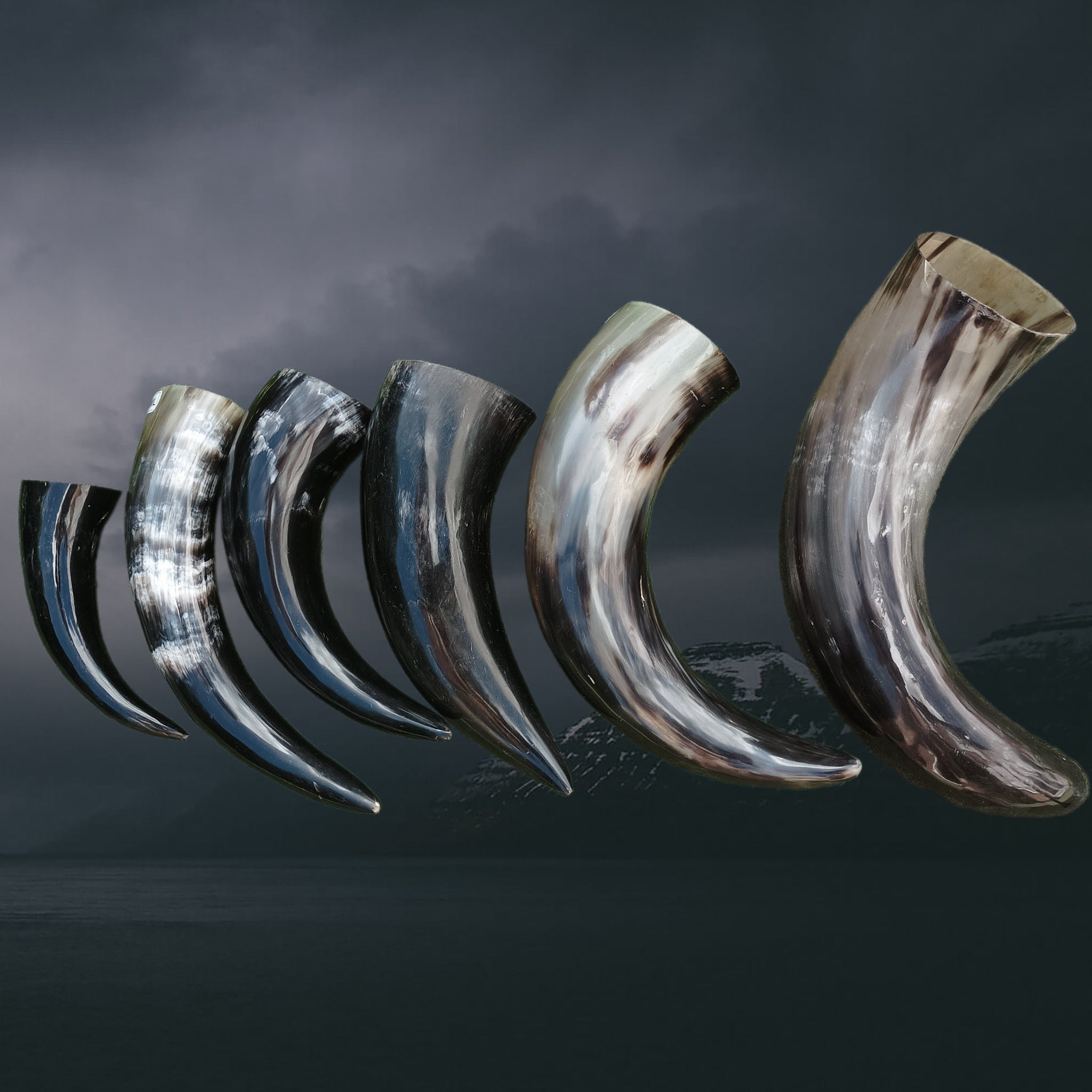 Ox Horn Polished Viking Drinking Horns in 6 Sizes