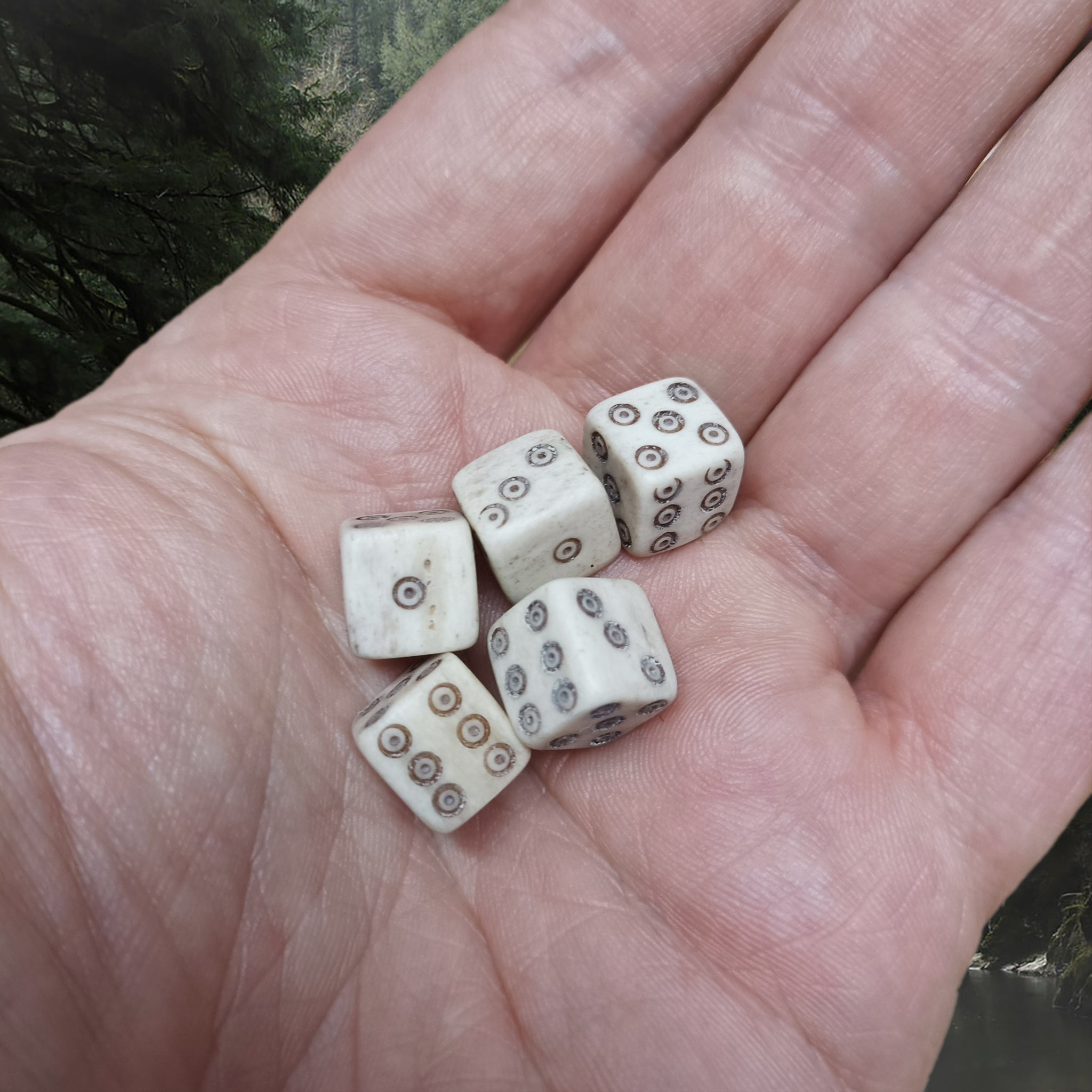 Small Bone Viking Dice with Dot and Ring Marks in Hand x 5