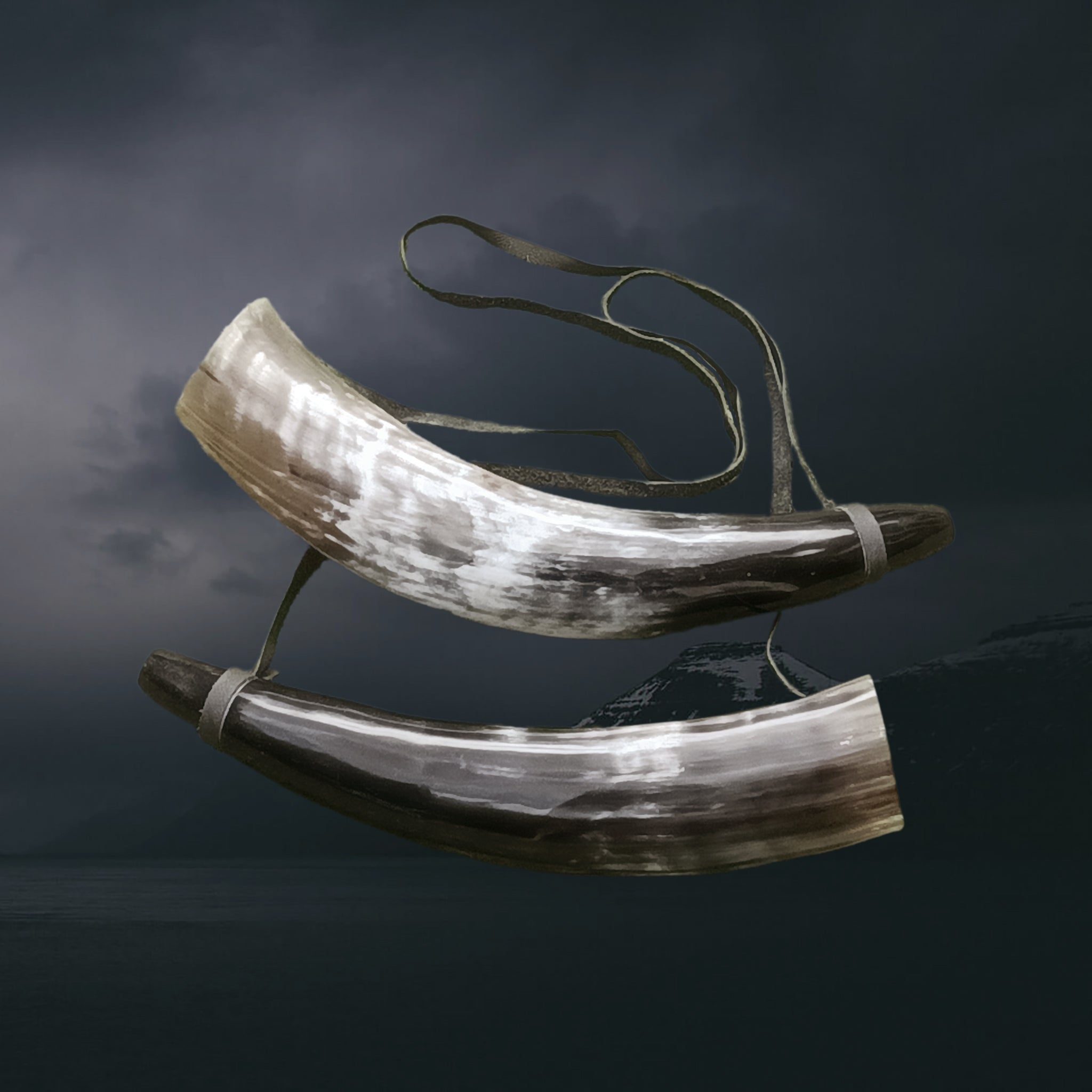 Polished Small Viking Blowing Horns / Bugles - Viking Gifts