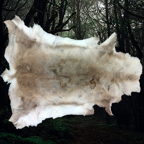 Cleaned & Treated Full Reindeer Hide from Lappland - Rug / Wall Ornament