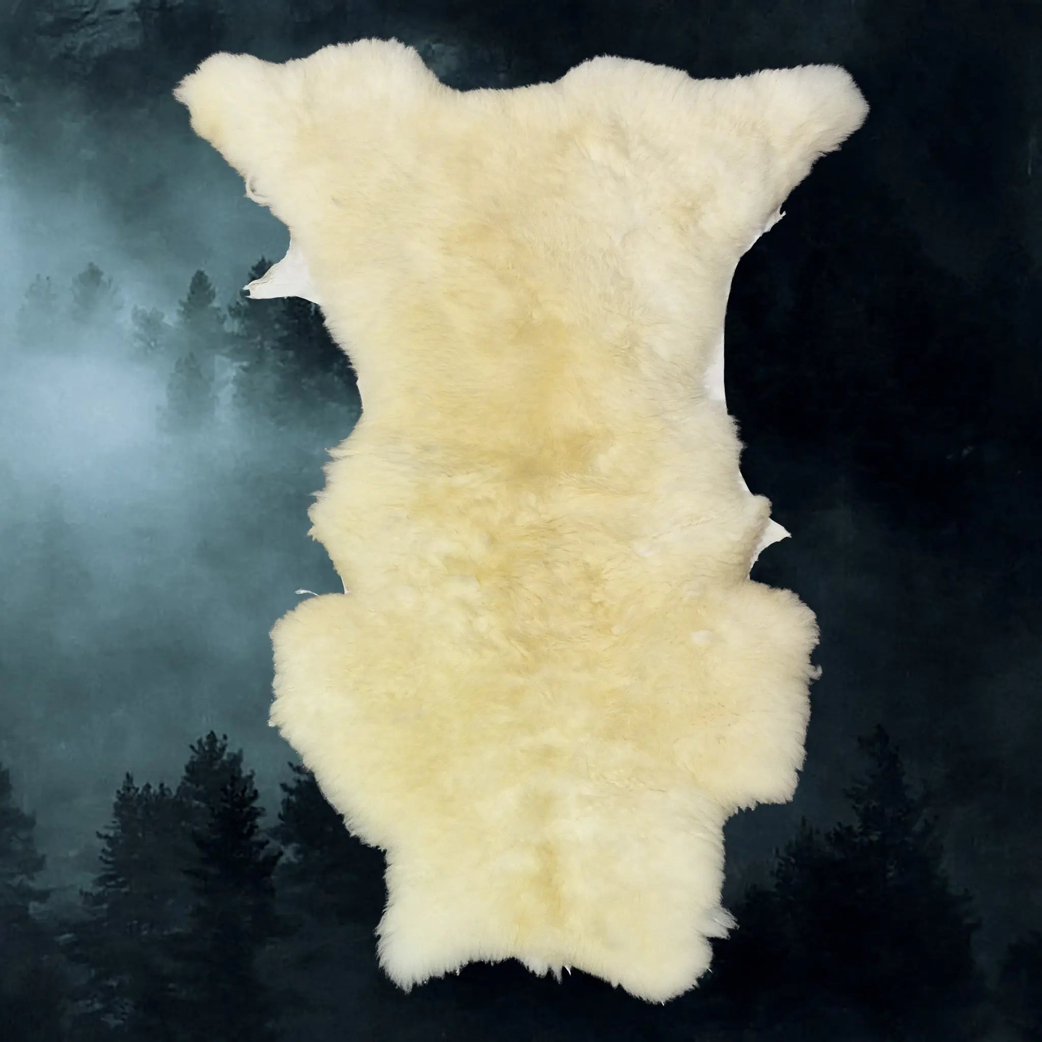 Full Sheep Skin Fleece from England, UK - Example 2