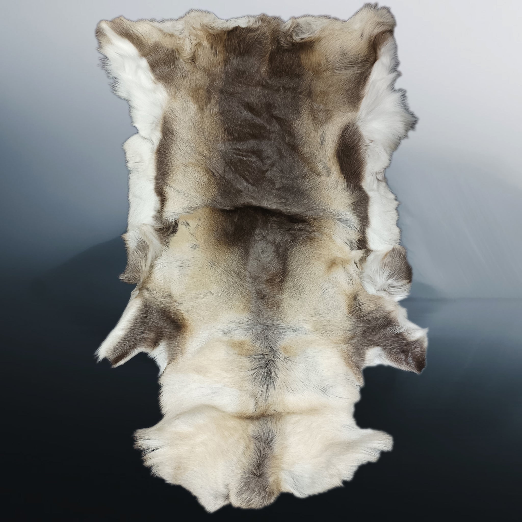 Cleaned &amp; Treated Full Reindeer Hide from Lappland - Slimmer One