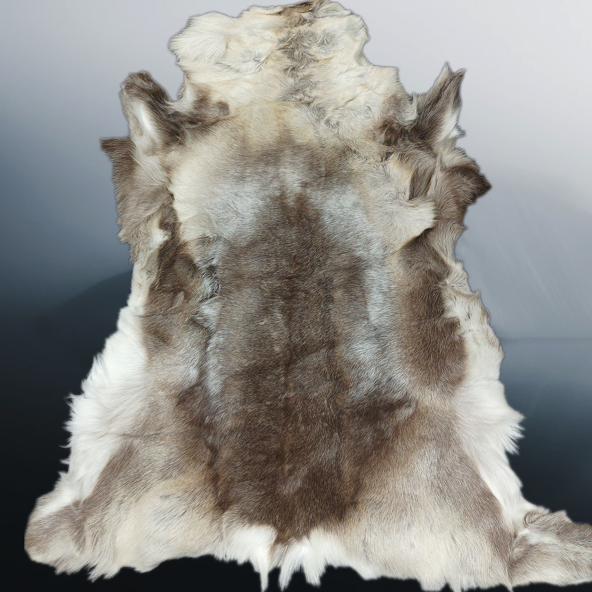 Cleaned &amp; Treated Full Reindeer Hide from Lappland - Wide One