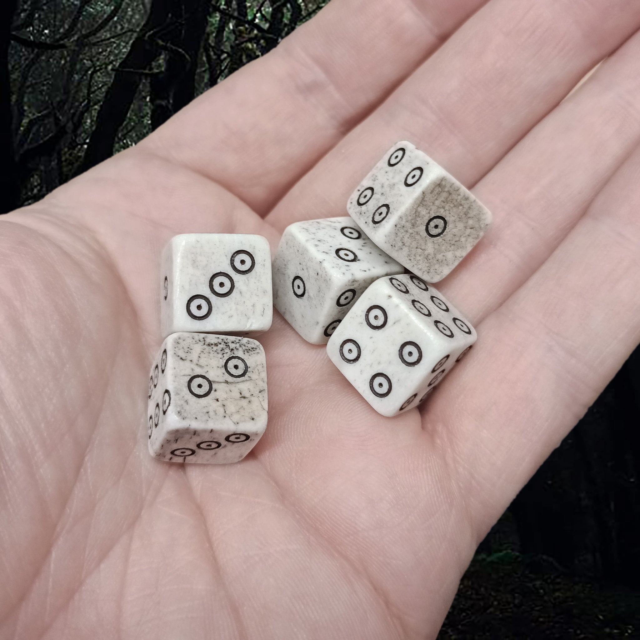 Large Size Cow Bone Dice Replicas with Hand-Carved Dot & Ring Spots on Hand x 5