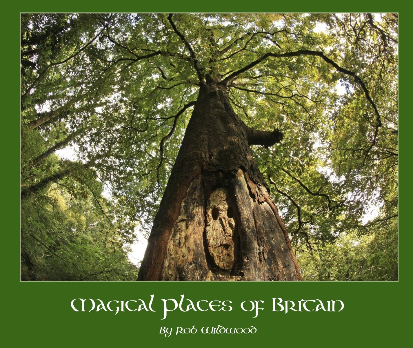 Magical Places Of Britain Book Ancient Tree - Viking Dragon Books