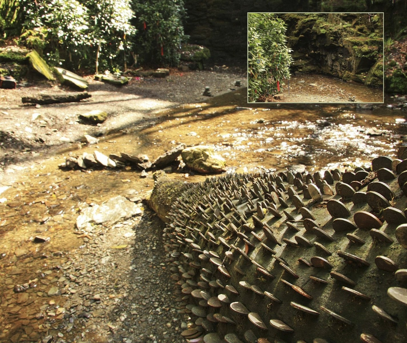 Magical Places Of Britain Book - Embedded Coins in a Tree - Viking Dragon Books